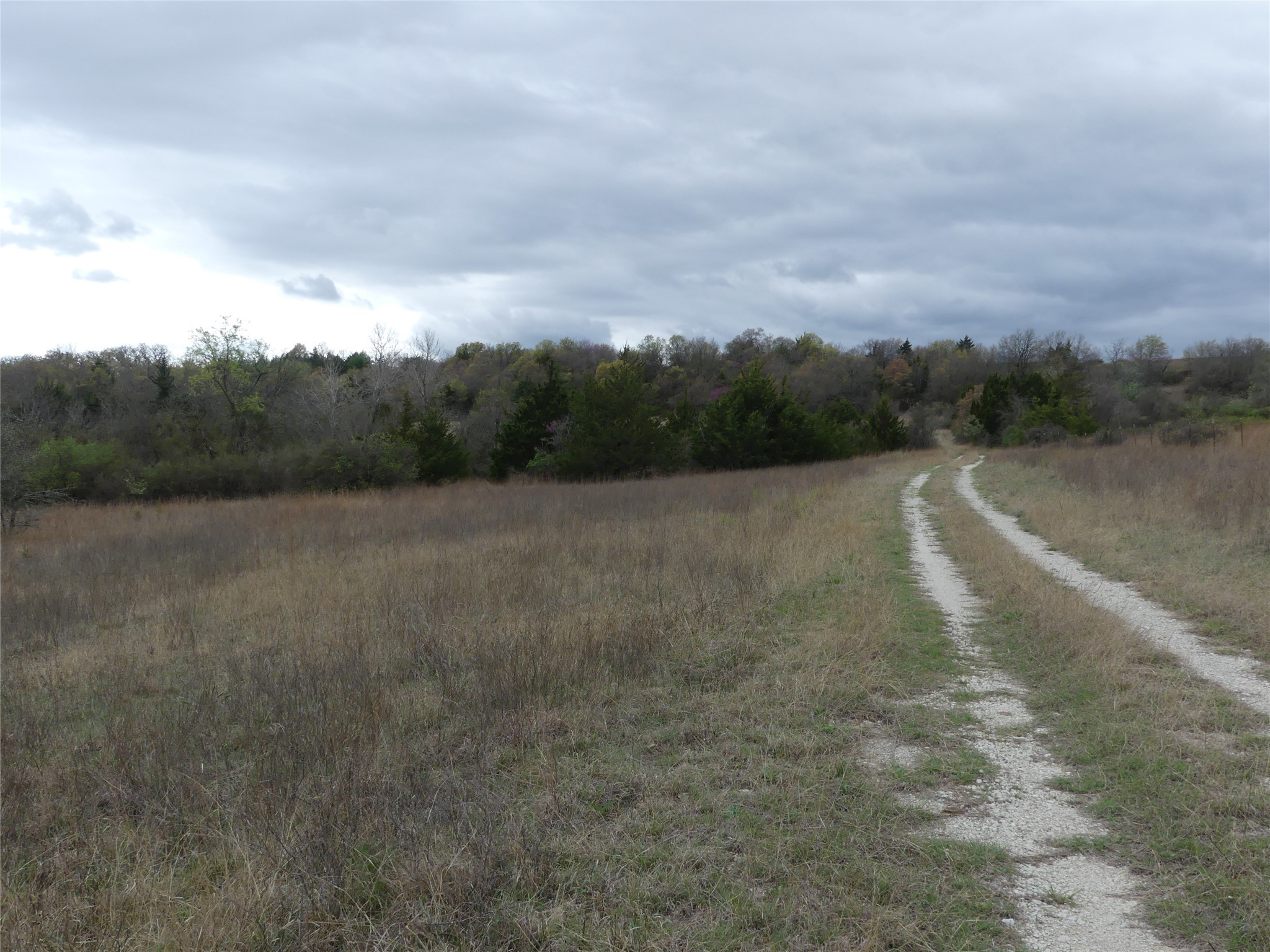 Tbd Dye Mound Road Forestburg TX 76239