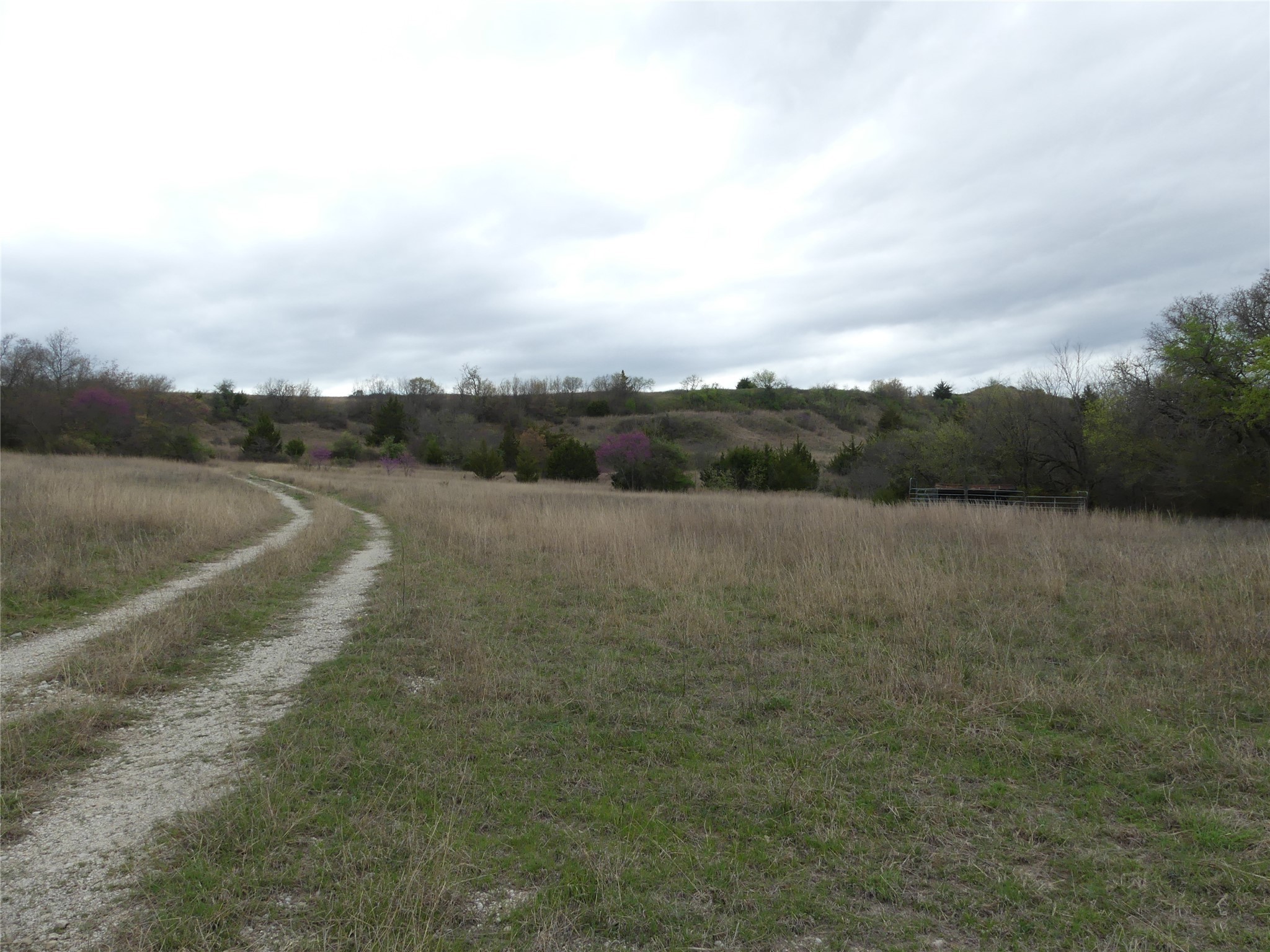 Tbd Dye Mound Road Forestburg TX 76239