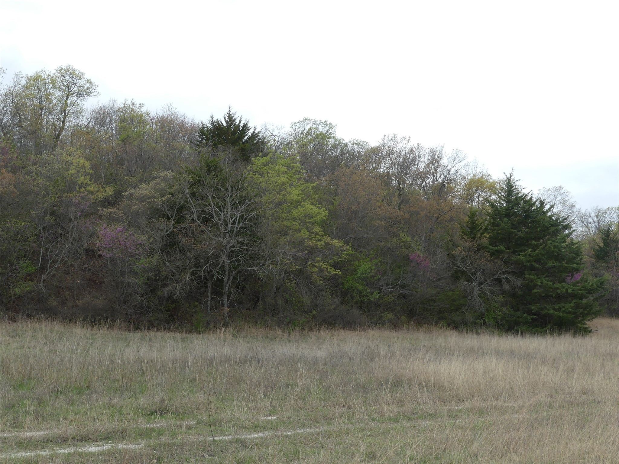 Tbd Dye Mound Road Forestburg TX 76239
