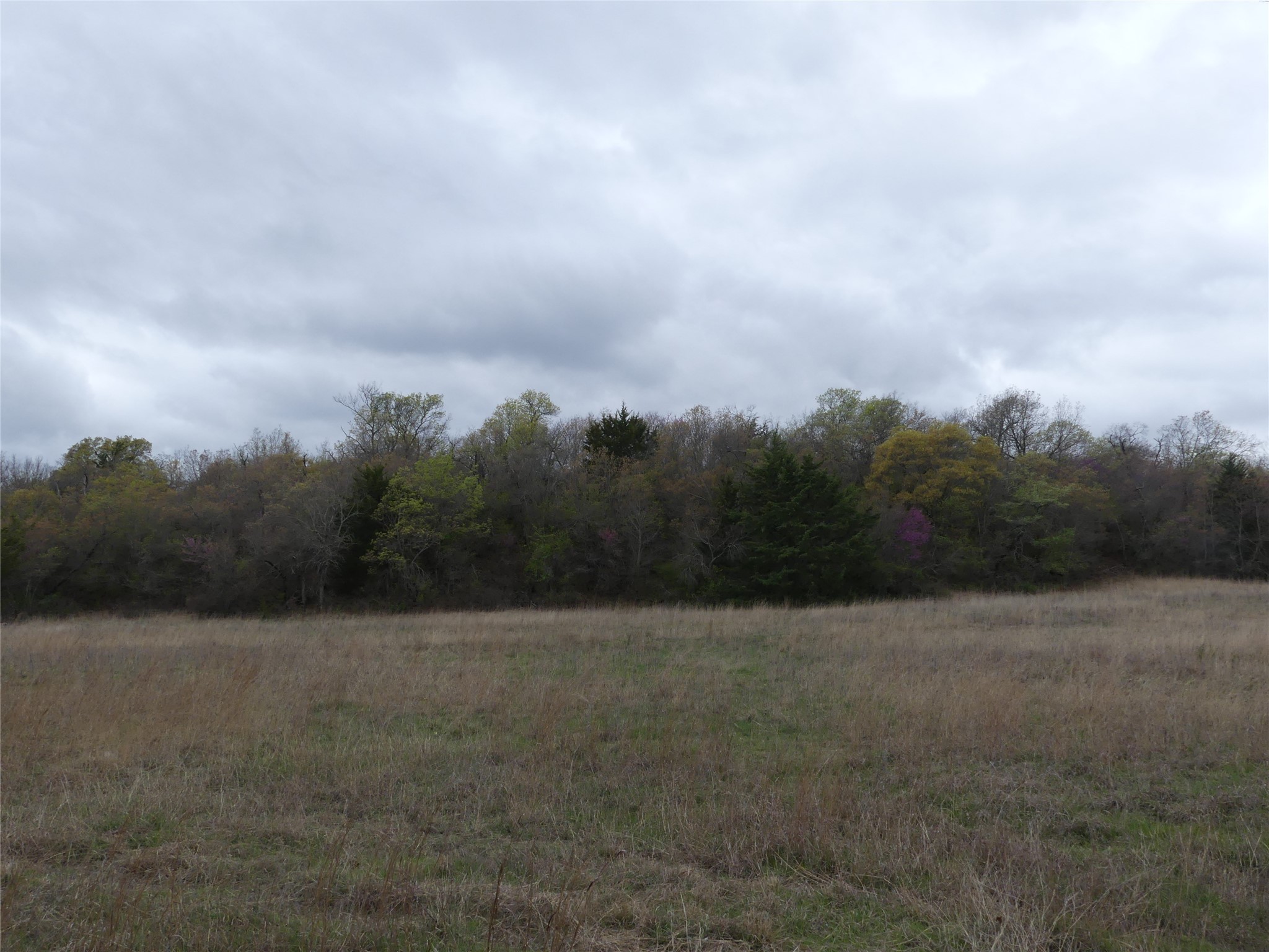 Tbd Dye Mound Road Forestburg TX 76239