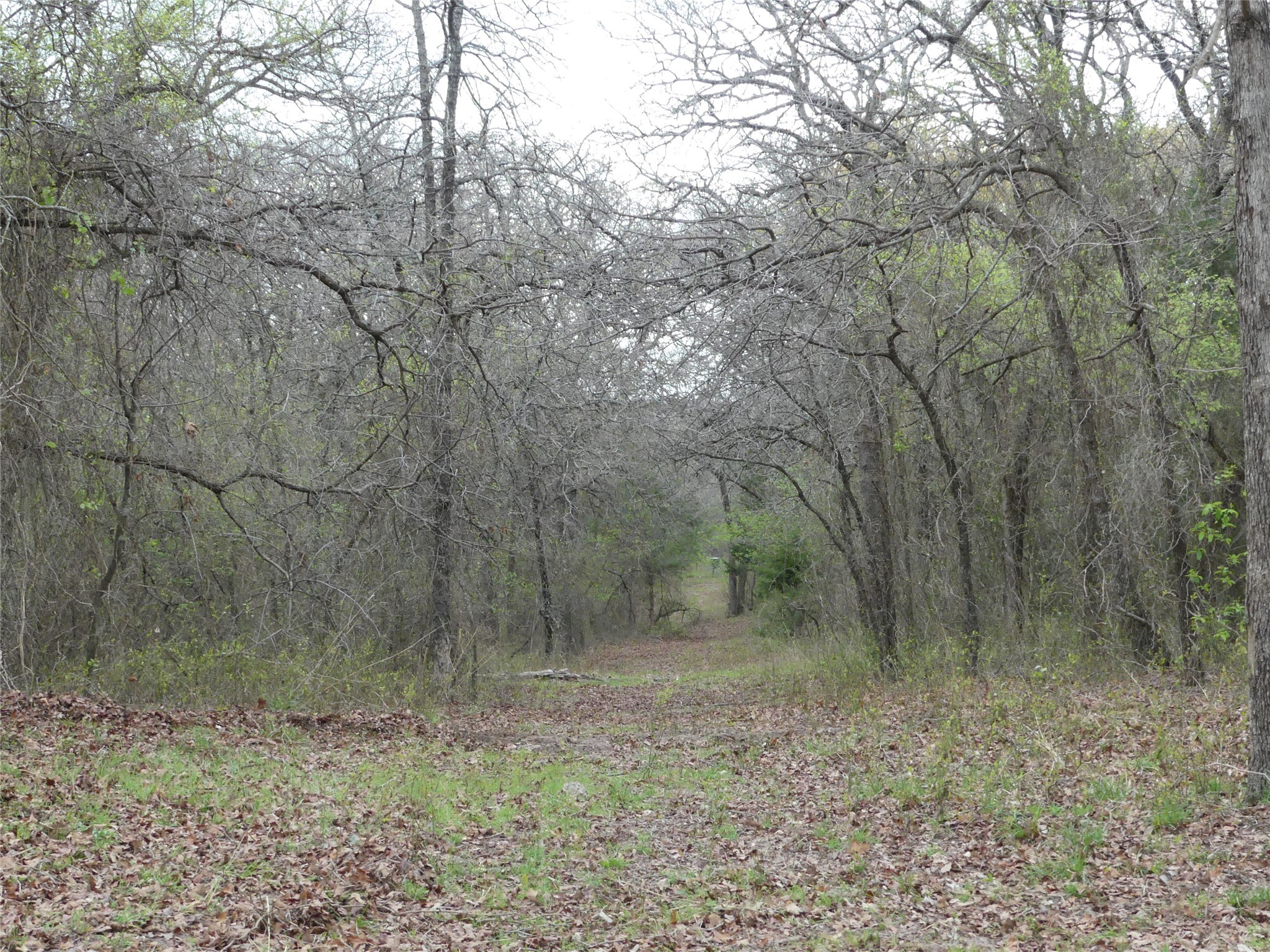 Tbd Dye Mound Road Forestburg TX 76239