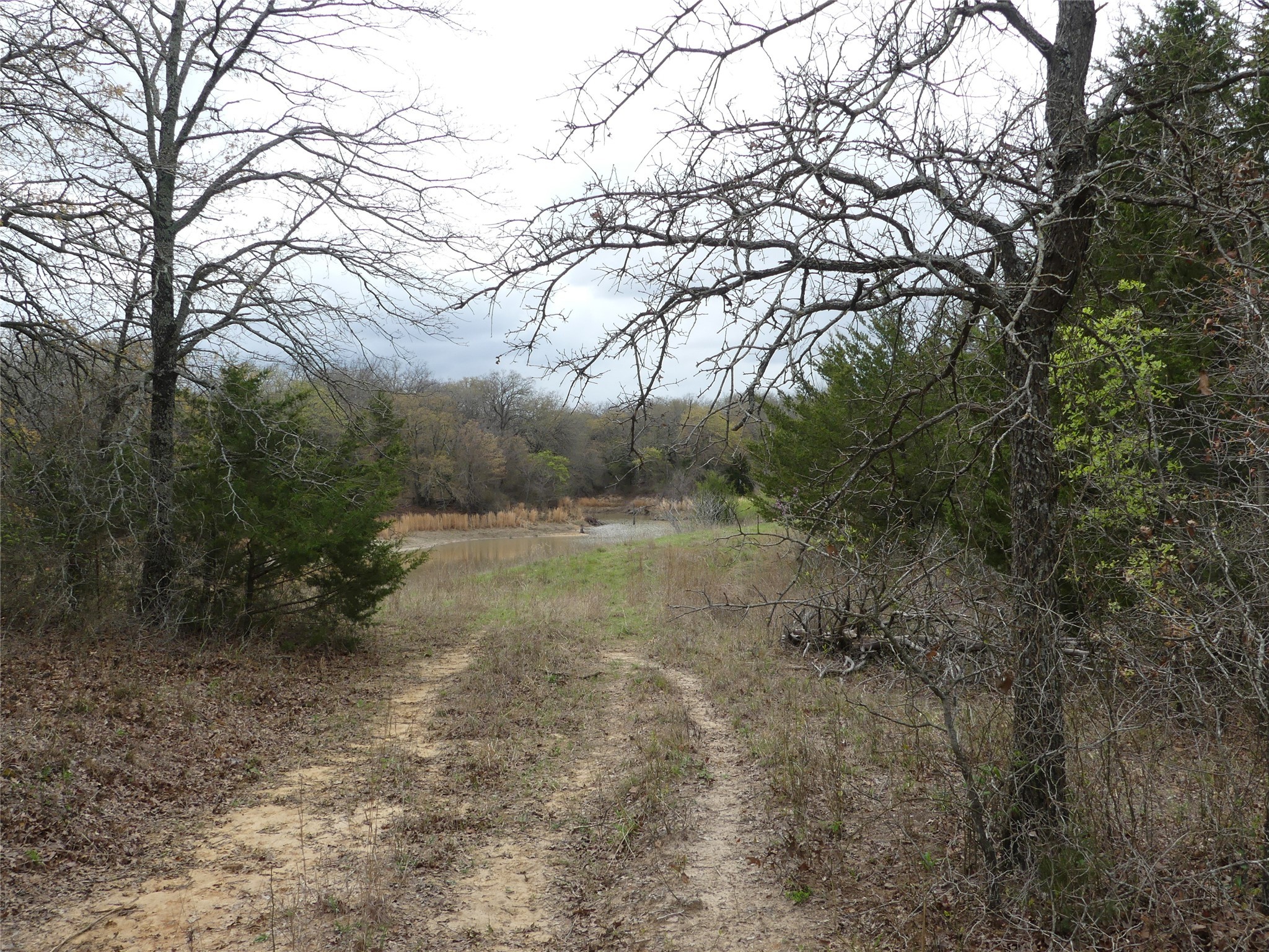 Tbd Dye Mound Road Forestburg TX 76239