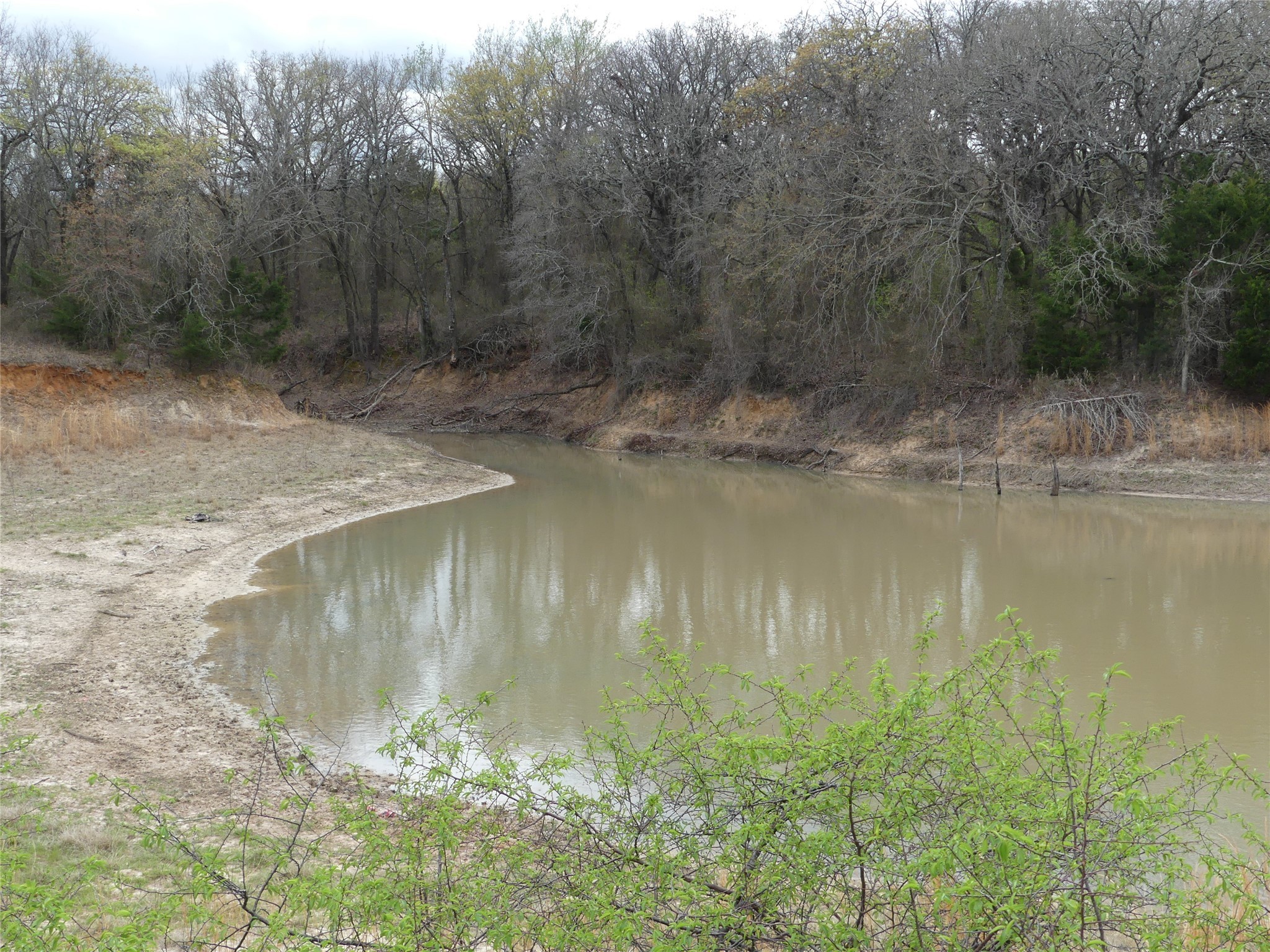 Tbd Dye Mound Road Forestburg TX 76239