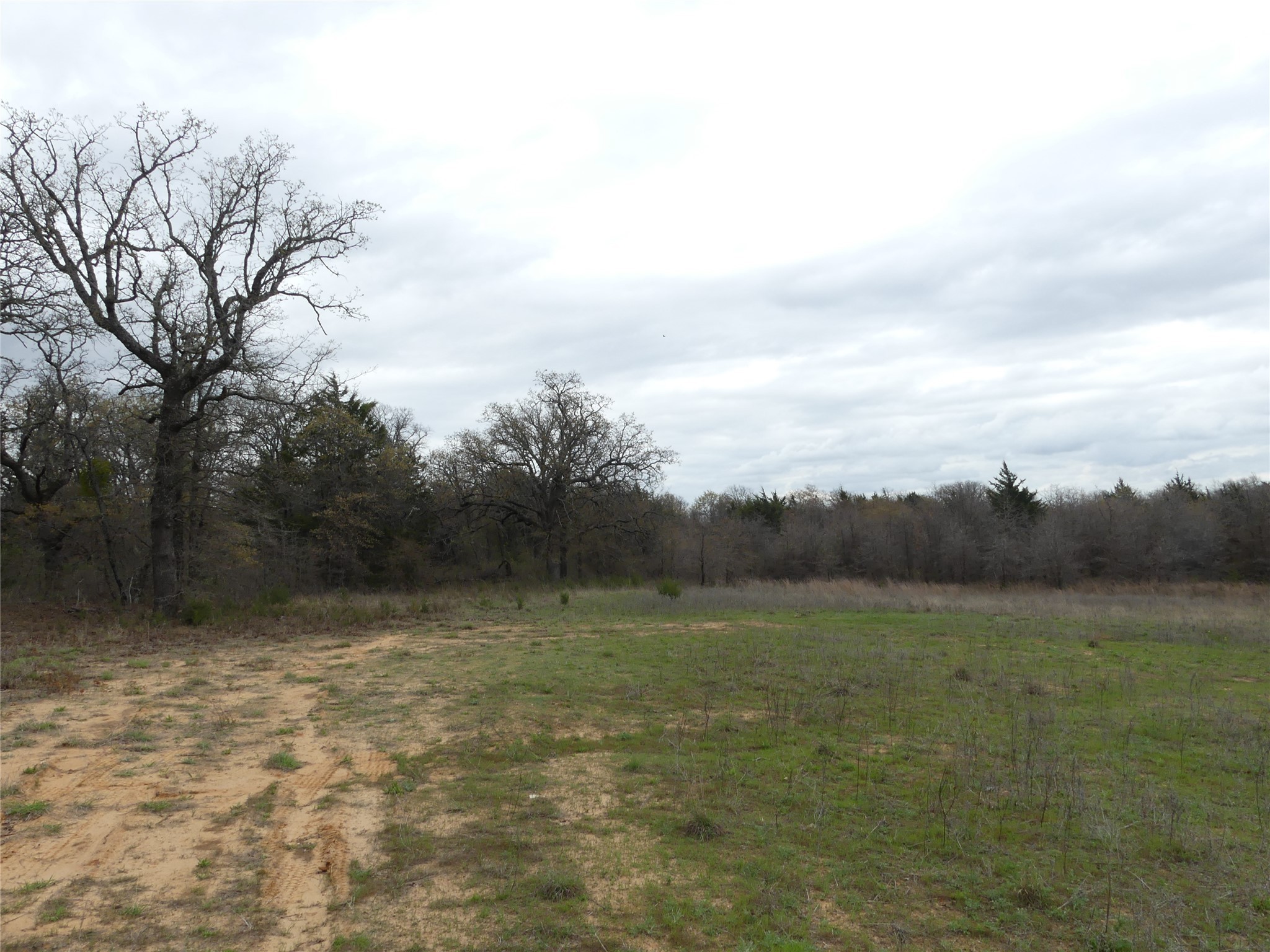Tbd Dye Mound Road Forestburg TX 76239