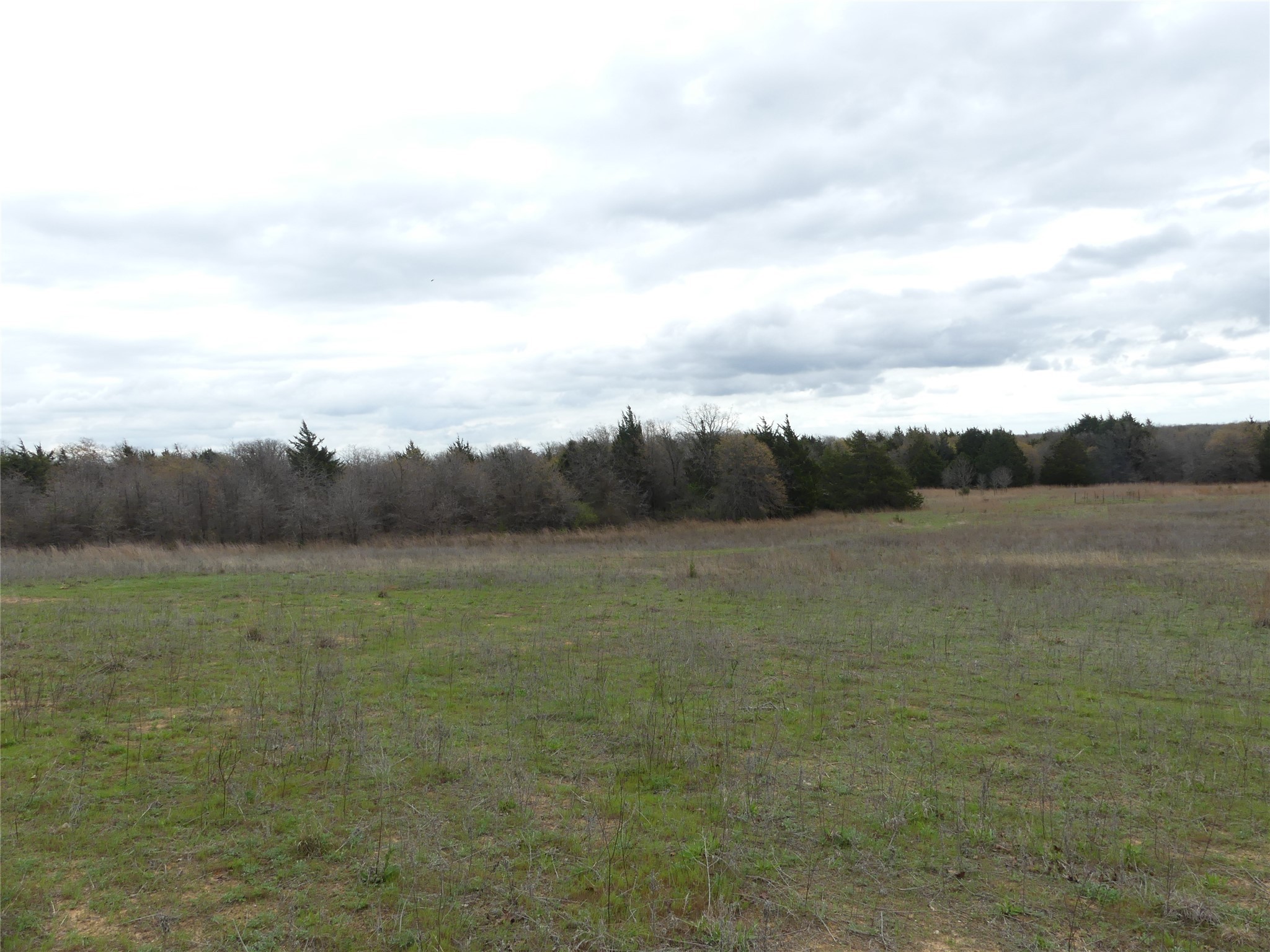 Tbd Dye Mound Road Forestburg TX 76239