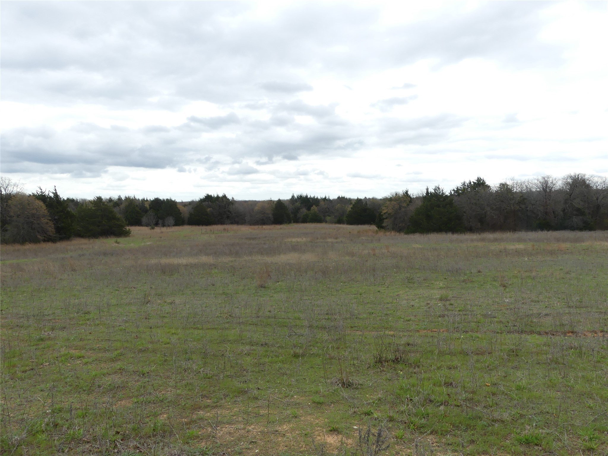 Tbd Dye Mound Road Forestburg TX 76239