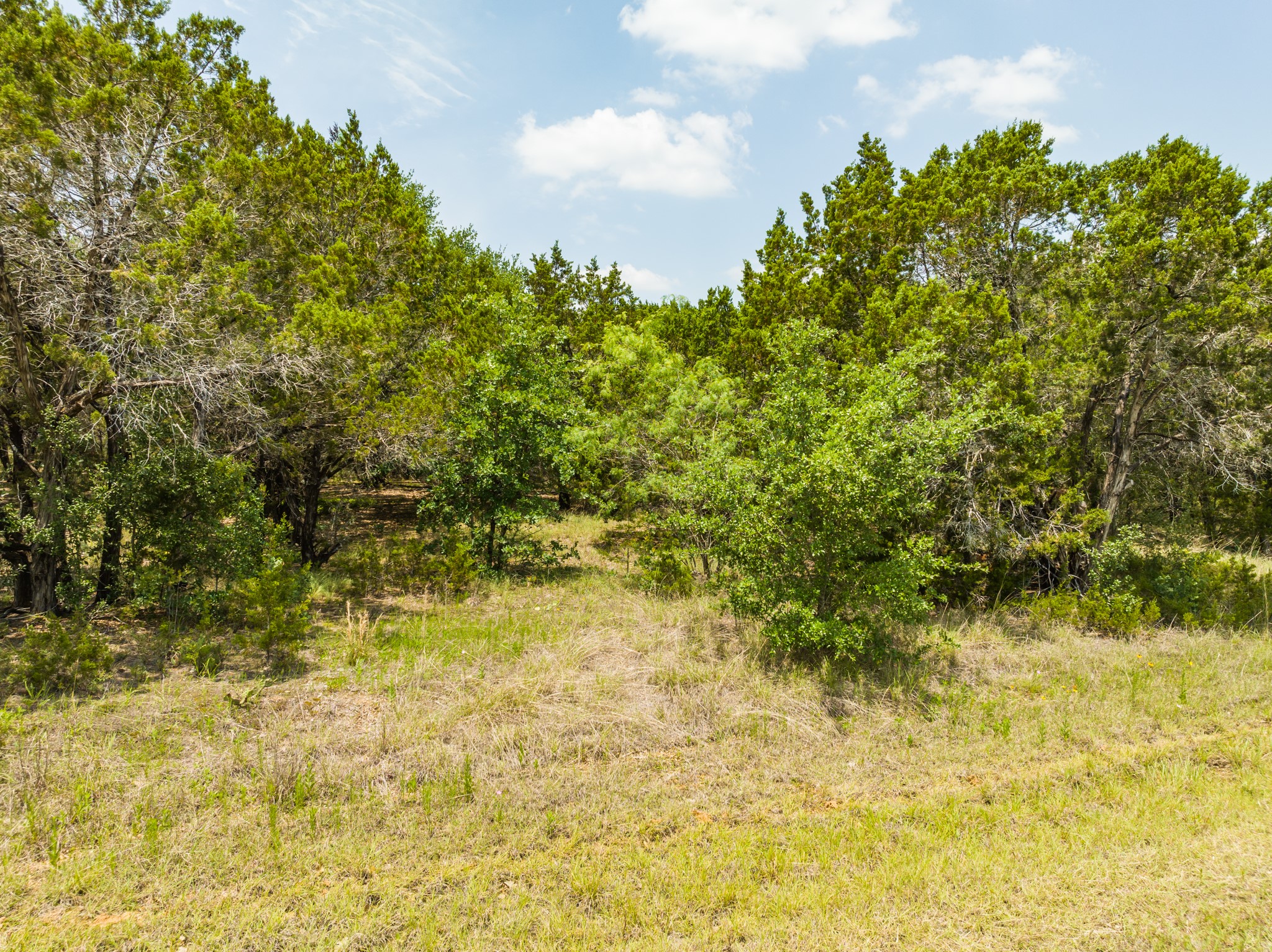 44015 Thistle Court Whitney TX 76692