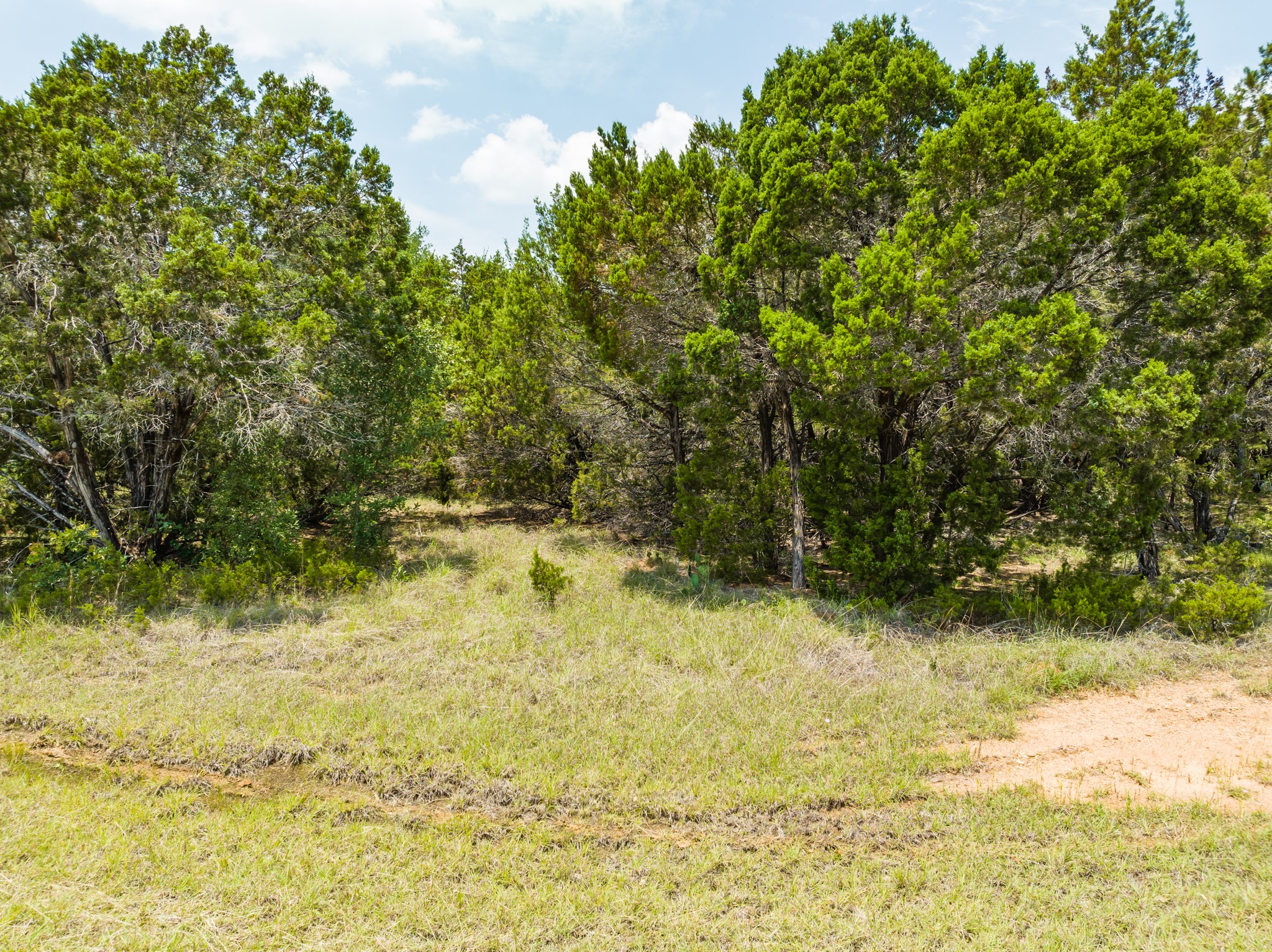 44015 Thistle Court Whitney TX 76692