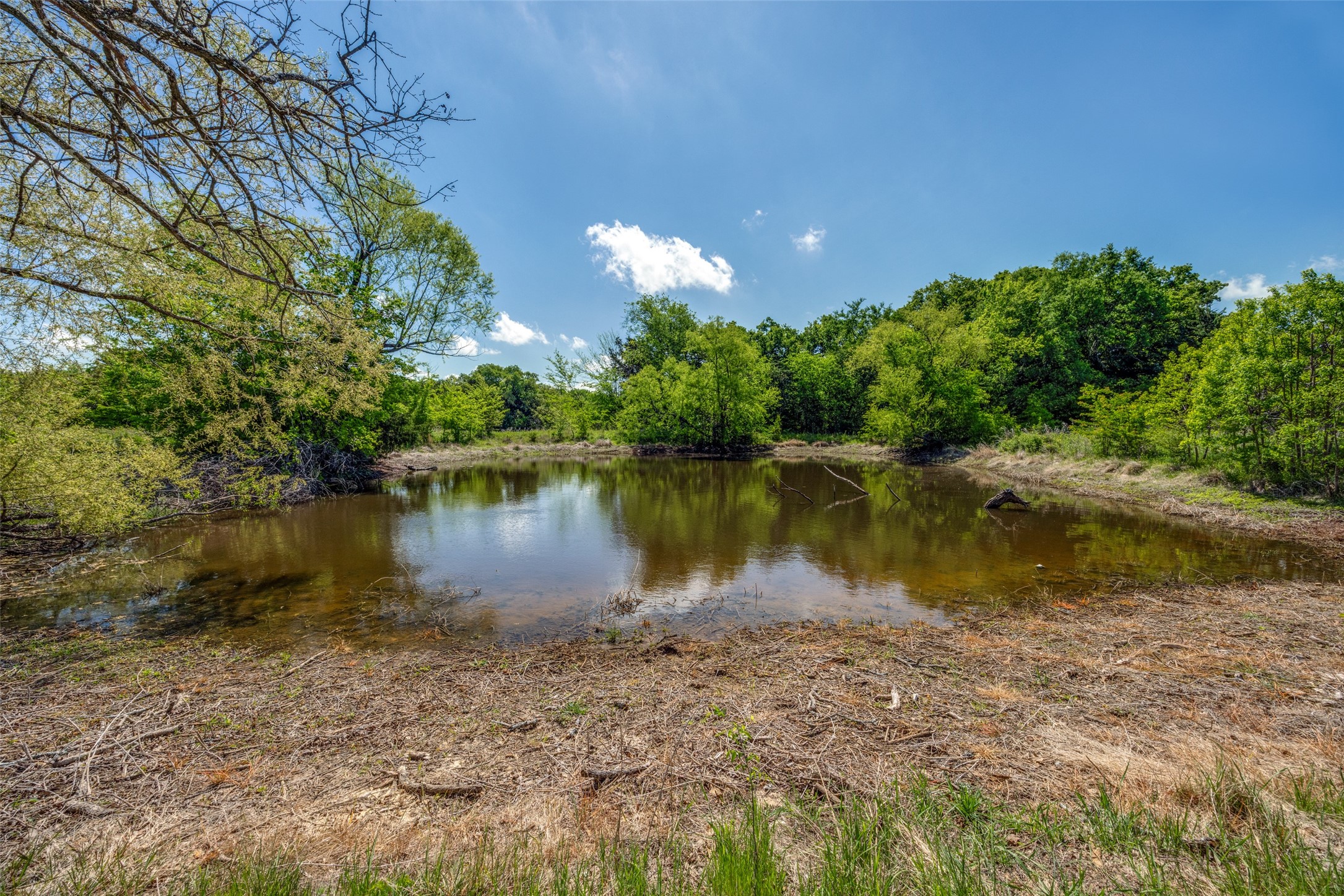 1203 County Road 4132 Cumby TX 75433