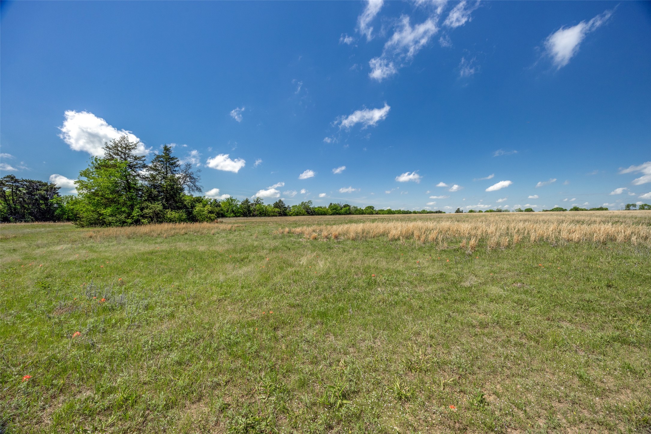 1203 County Road 4132 Cumby TX 75433