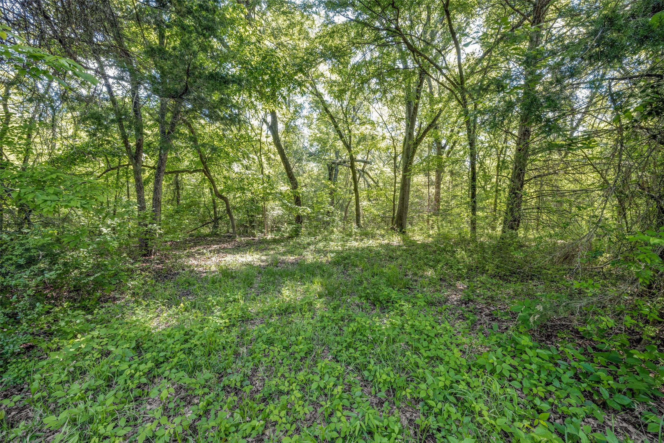 1203 County Road 4132 Cumby TX 75433