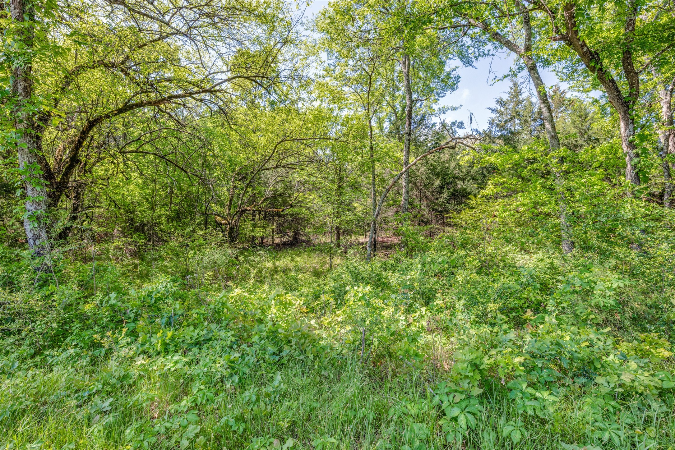 1203 County Road 4132 Cumby TX 75433