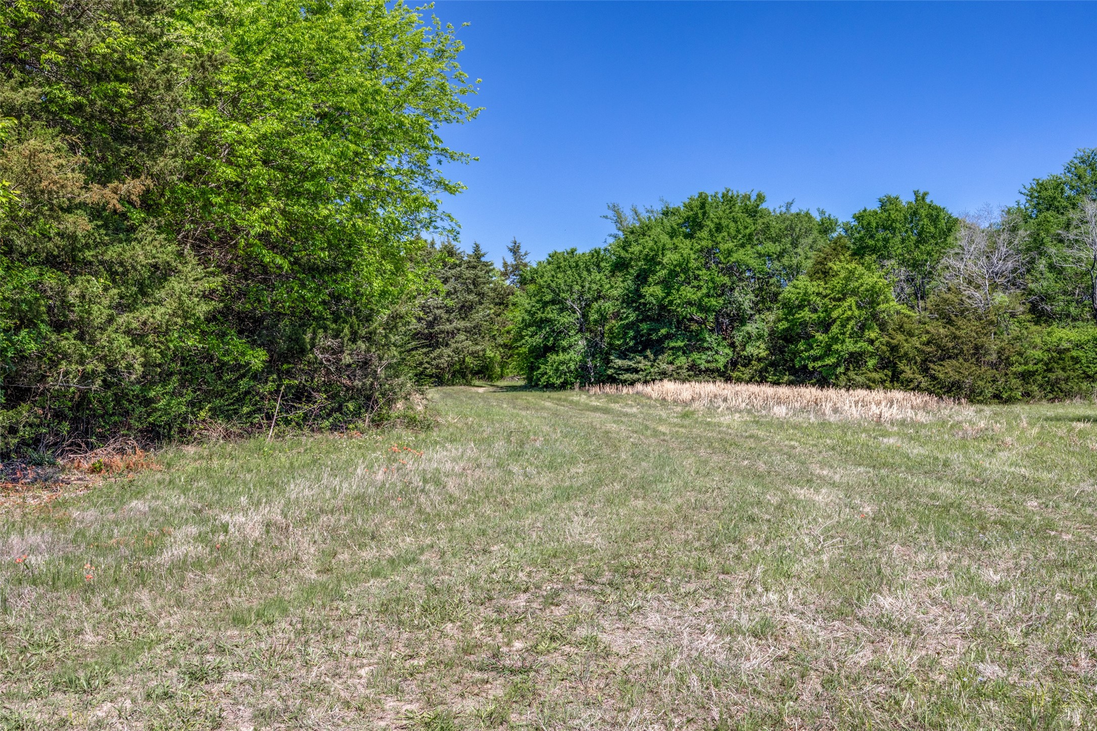 1203 County Road 4132 Cumby TX 75433