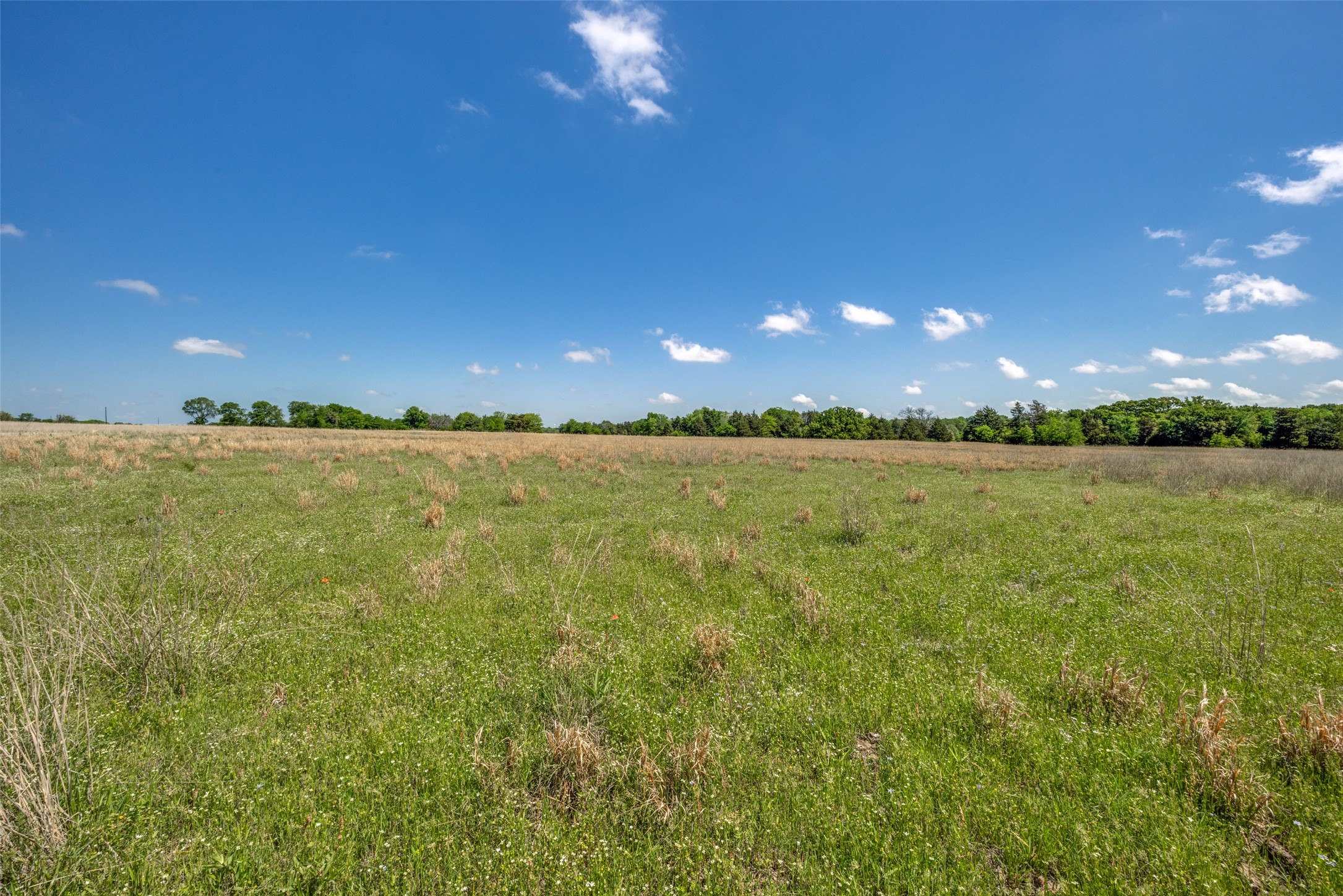 1203 County Road 4132 Cumby TX 75433