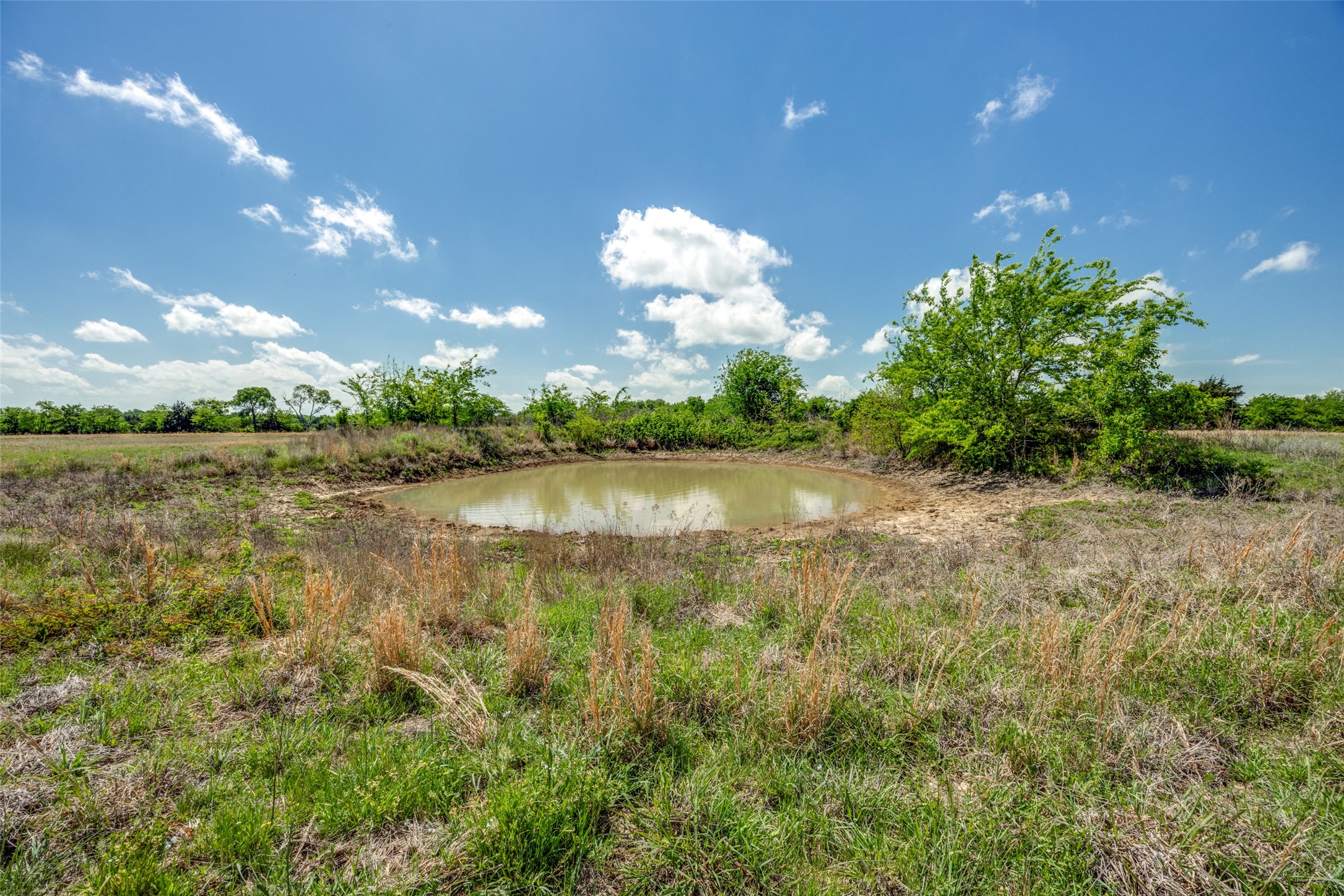 1203 County Road 4132 Cumby TX 75433