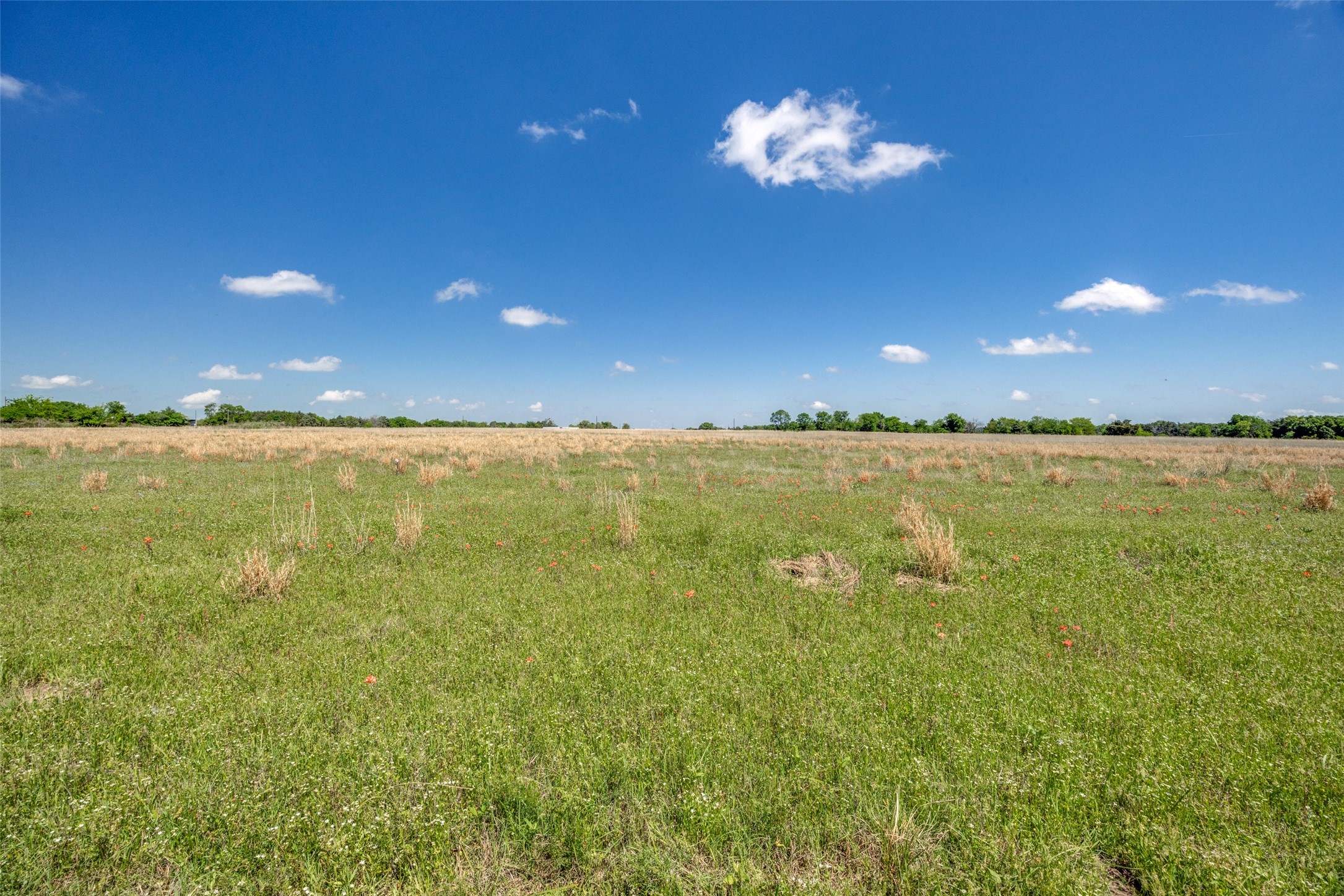 1203 County Road 4132 Cumby TX 75433