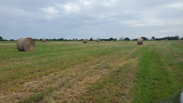 1203 County Road 4132 Cumby TX 75433