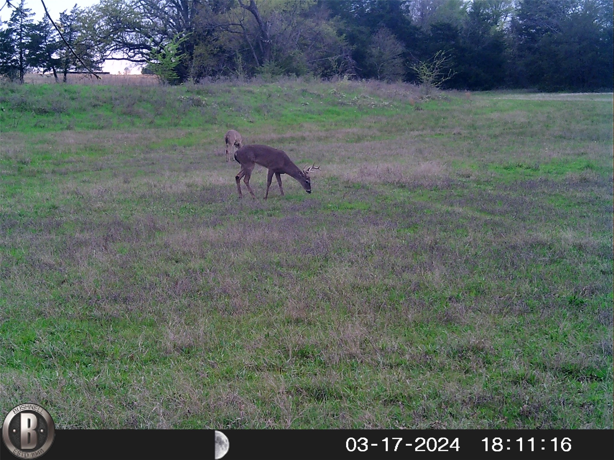 1203 County Road 4132 Cumby TX 75433