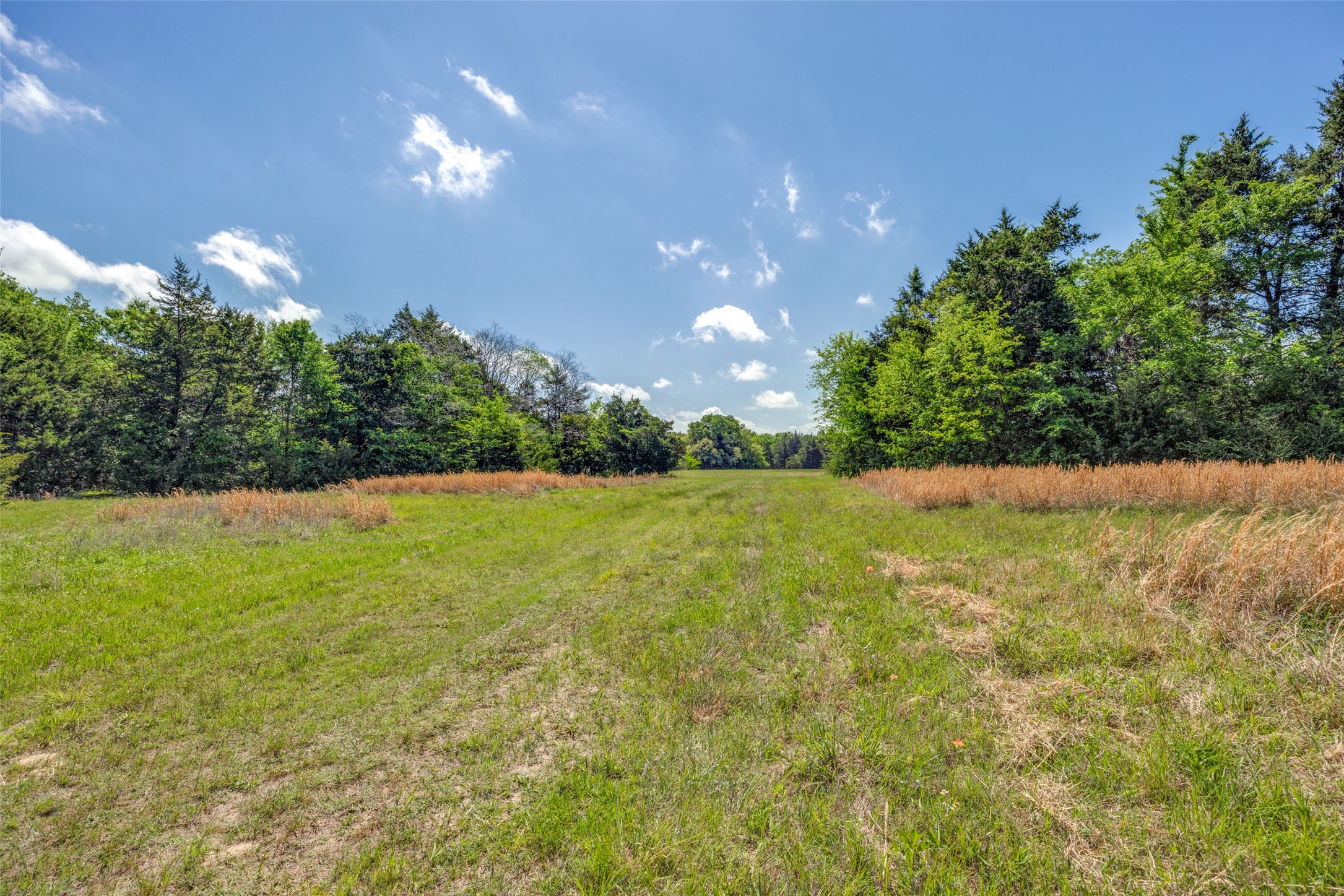 1203 County Road 4132 Cumby TX 75433