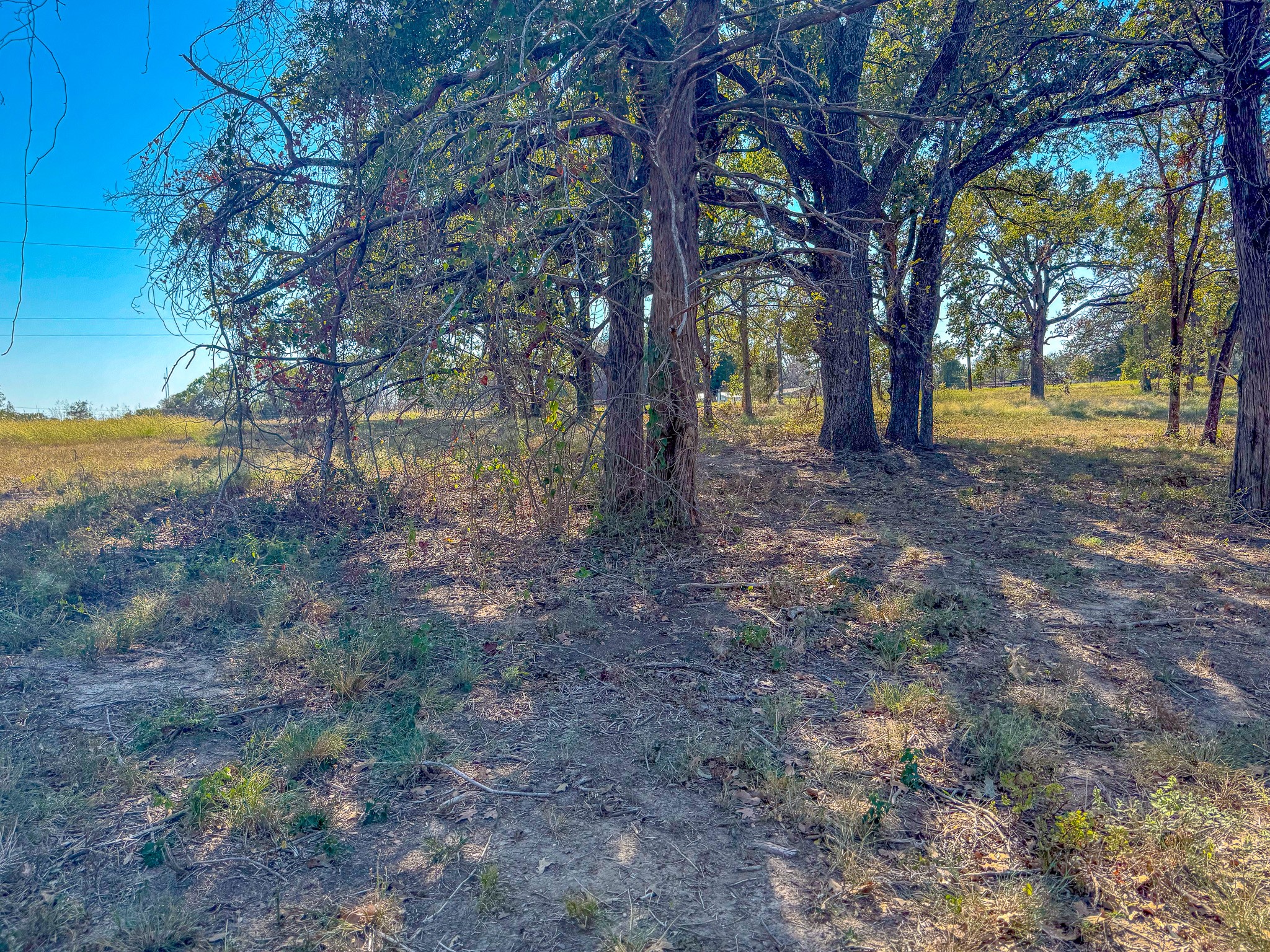 Lot 1 Bordeaux Lane Corsicana TX 75109