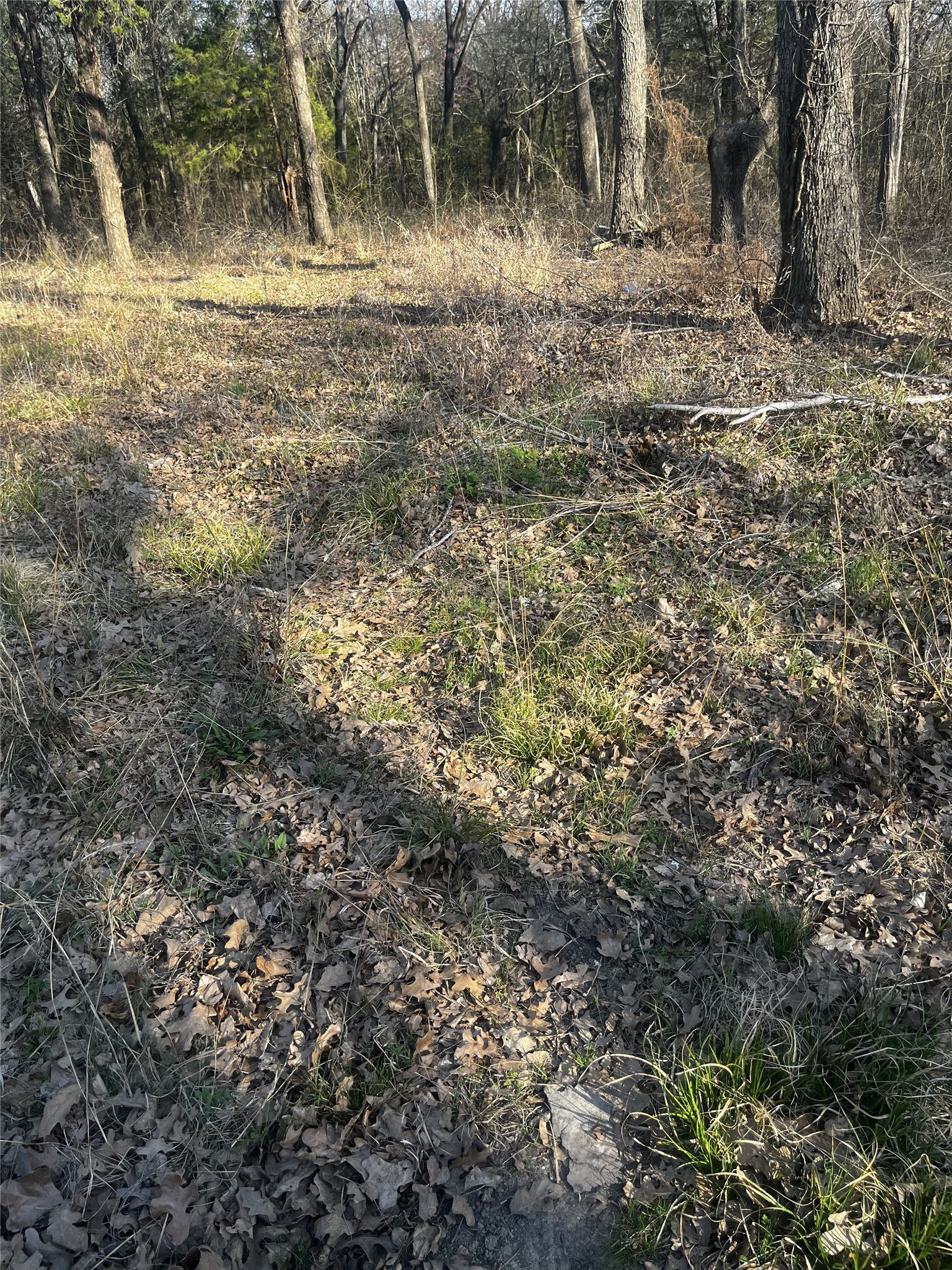 117 Inca Trail Mabank TX 75156