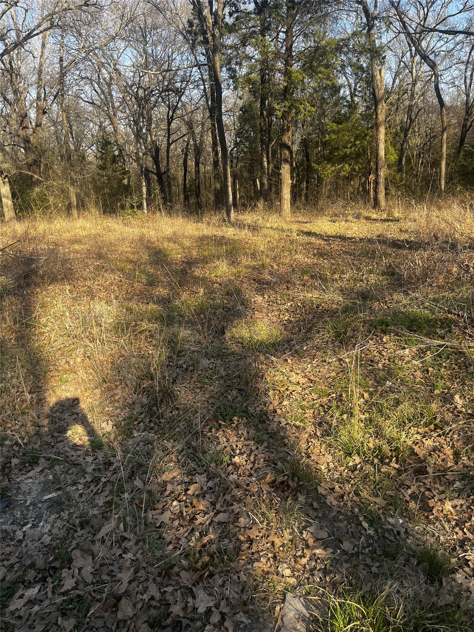 117 Inca Trail Mabank TX 75156