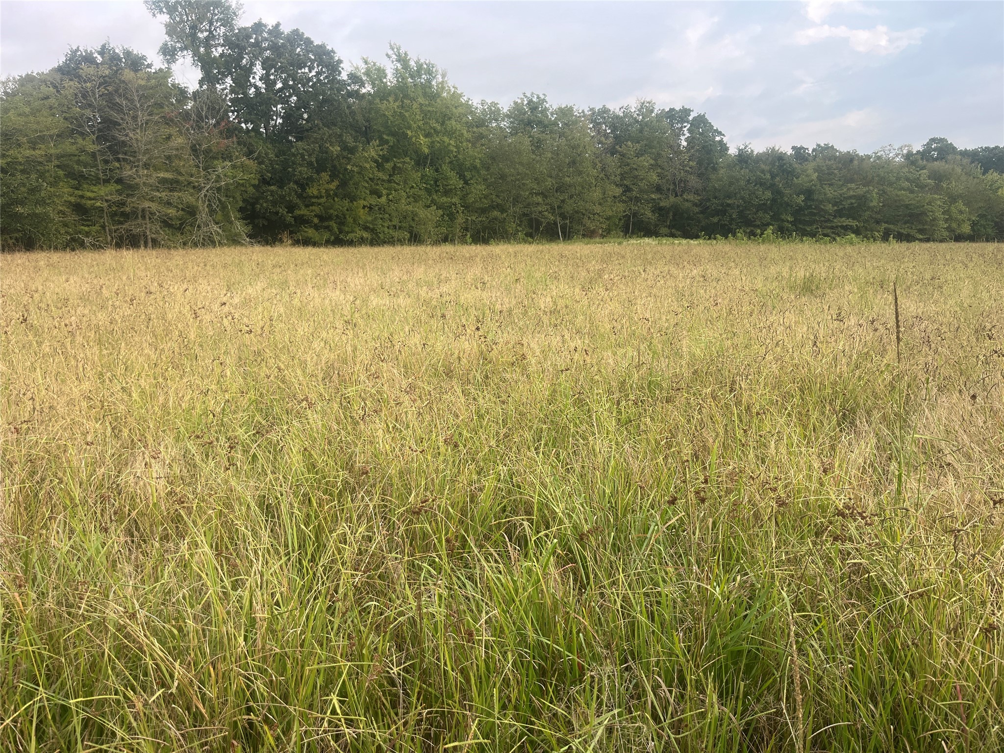 Cr 2353 Cr 2353 Bagwell TX 75412