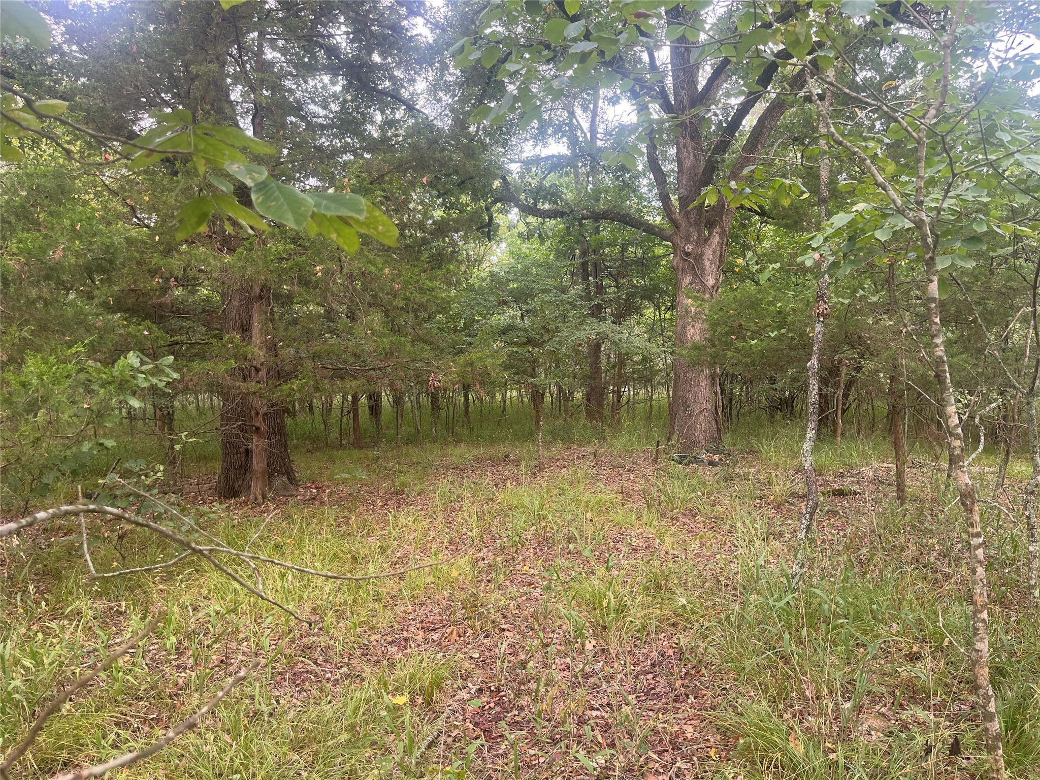 Cr 2353 Cr 2353 Bagwell TX 75412