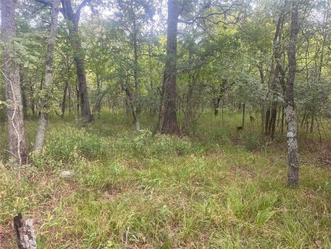 Cr 2353 Cr 2353 Bagwell TX 75412