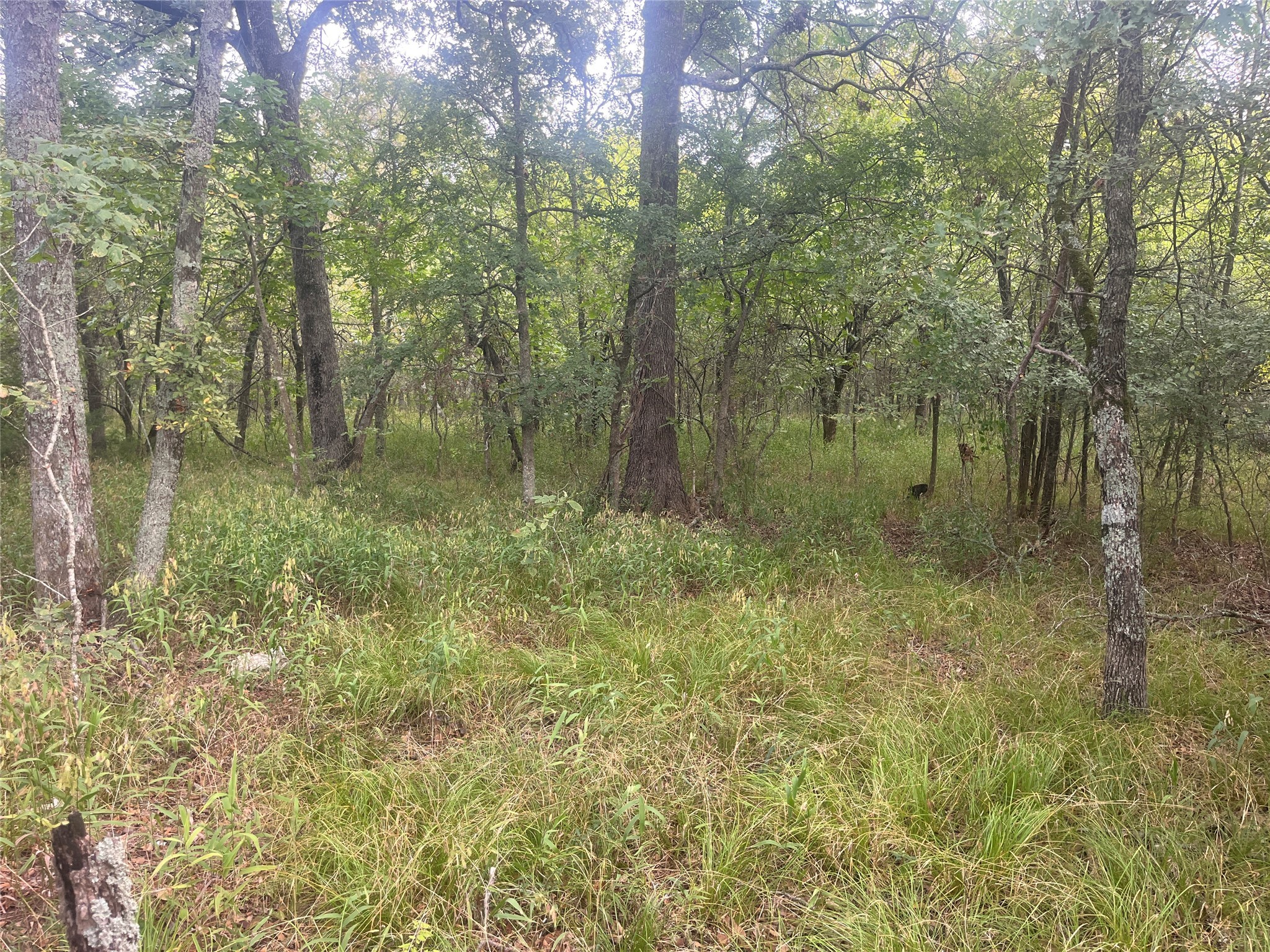 Cr 2353 Cr 2353 Bagwell TX 75412
