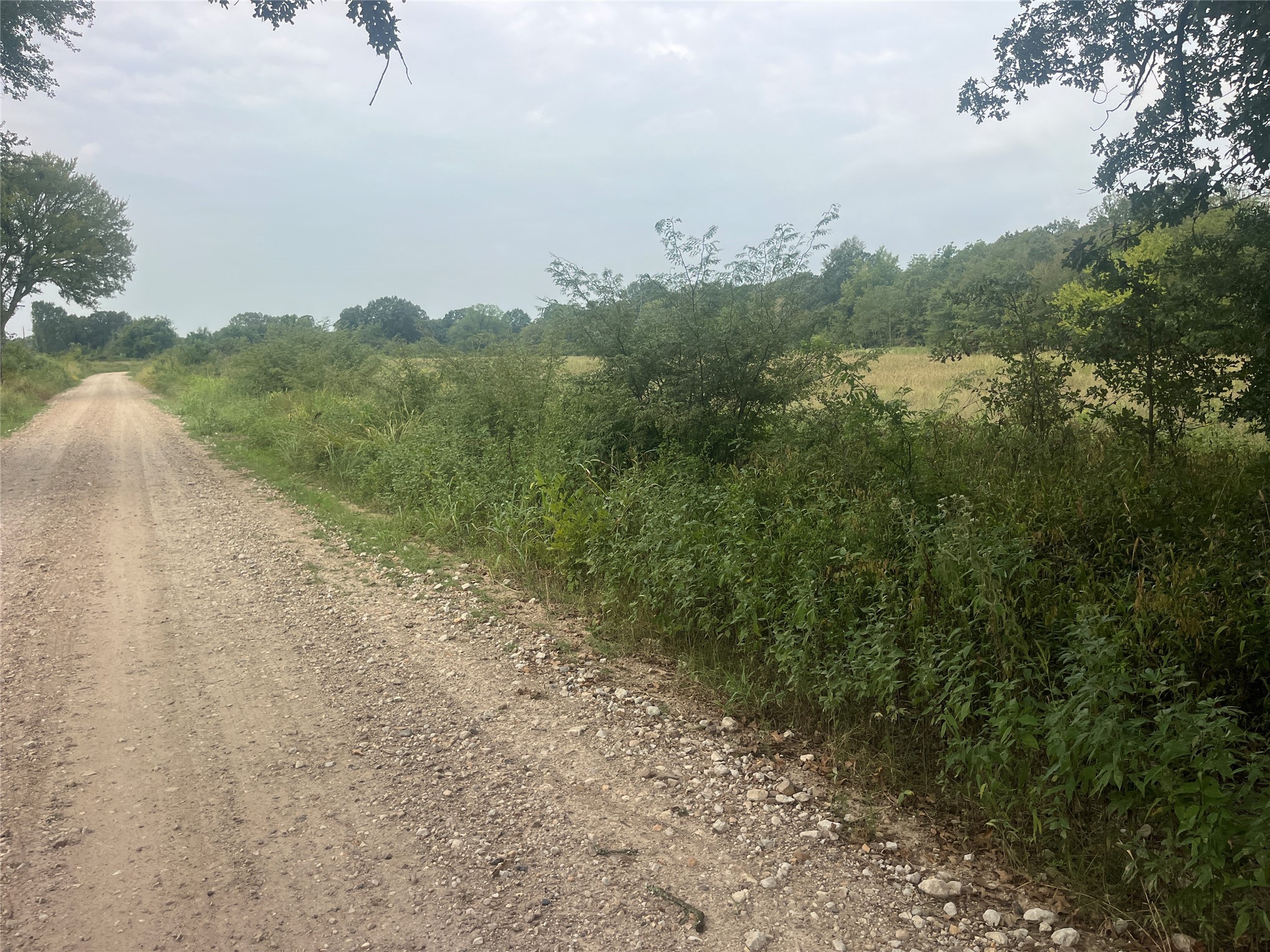 Cr 2353 Cr 2353 Bagwell TX 75412