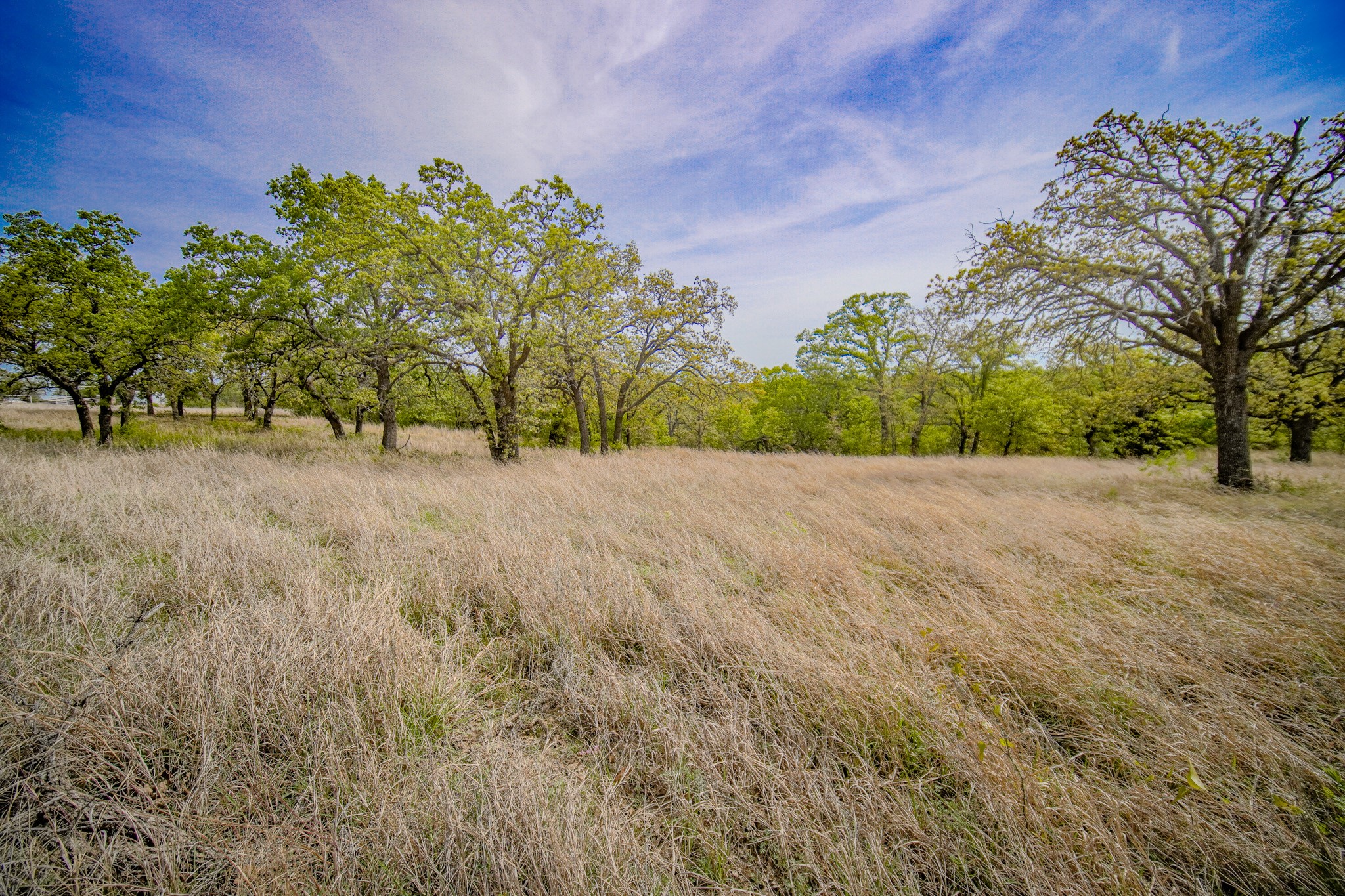 11 Acres Mountain Home Road Jacksboro TX 76458