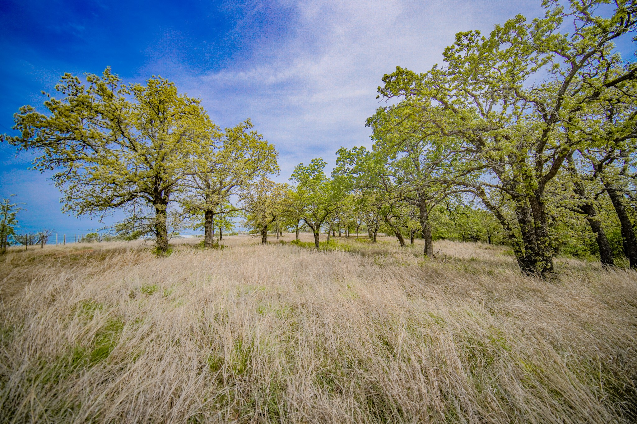 11 Acres Mountain Home Road Jacksboro TX 76458
