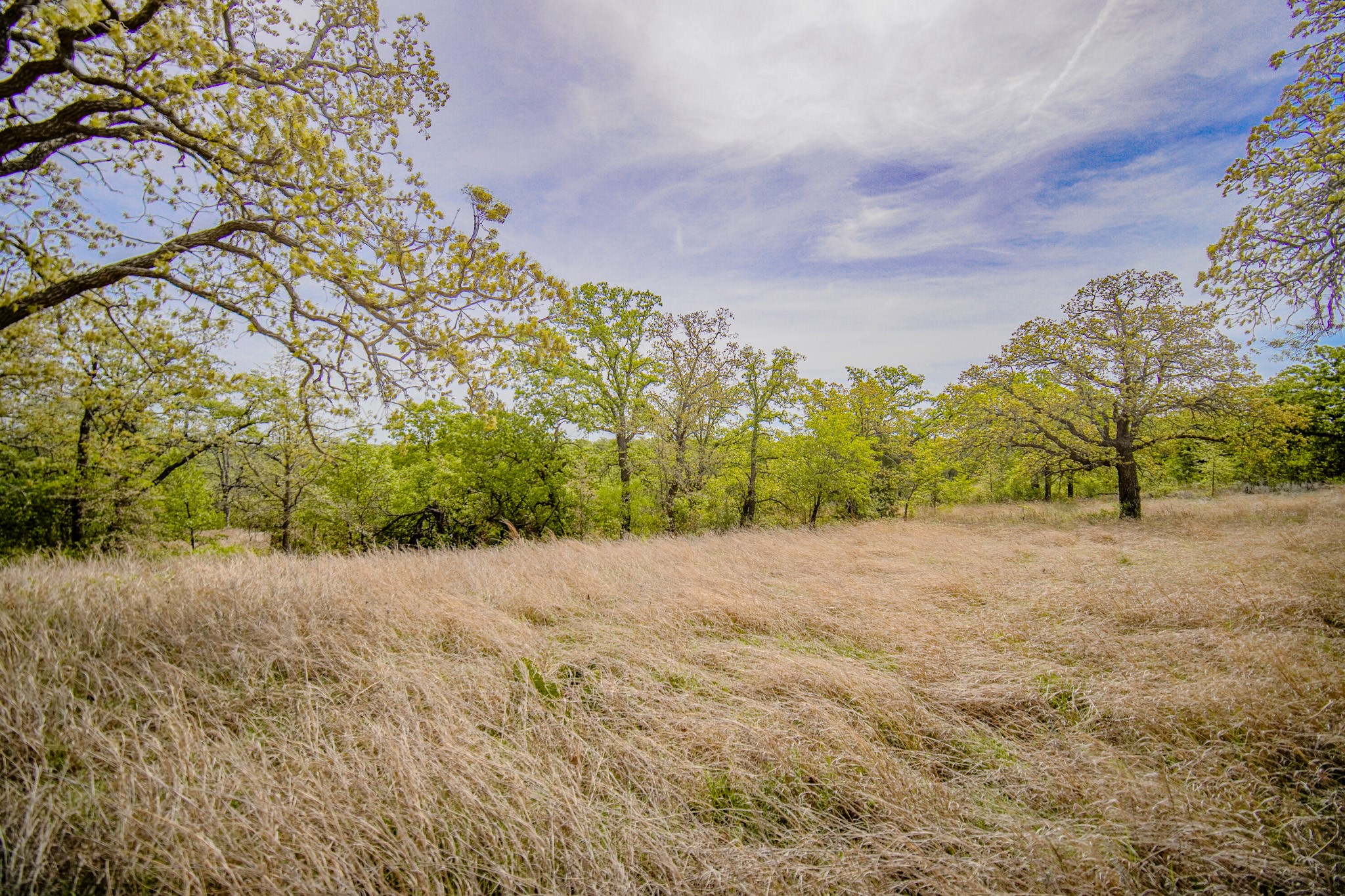 11 Acres Mountain Home Road Jacksboro TX 76458