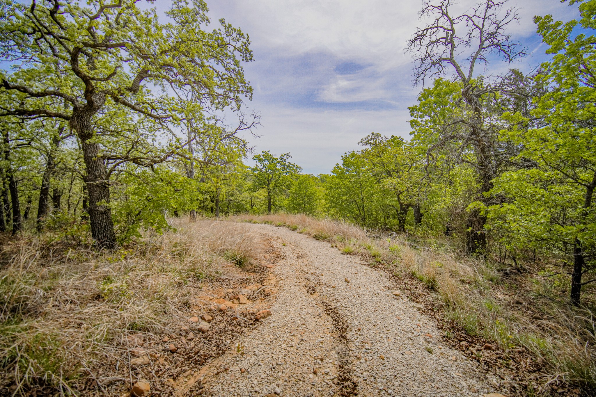 11 Acres Mountain Home Road Jacksboro TX 76458