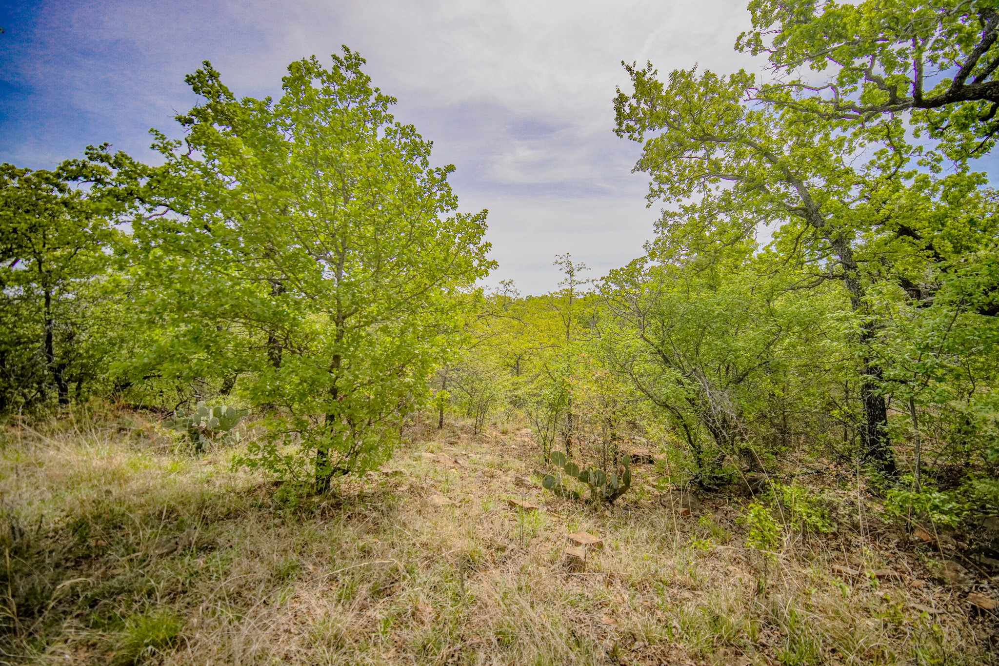 11 Acres Mountain Home Road Jacksboro TX 76458