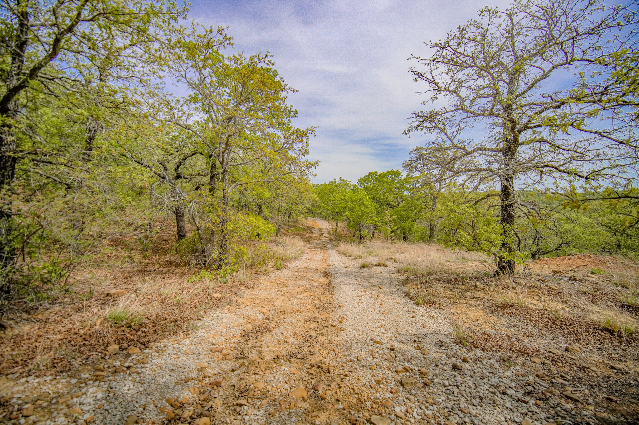 11 Acres Mountain Home Road Jacksboro TX 76458