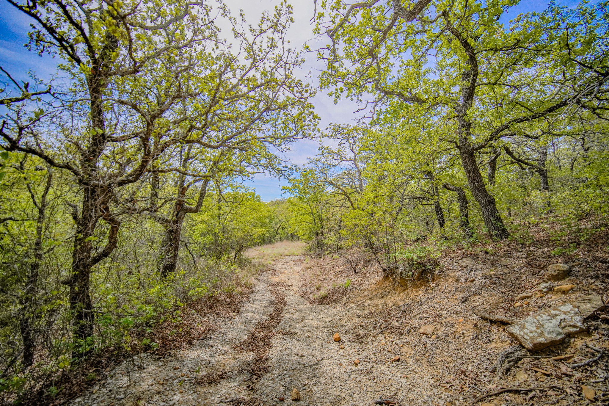 11 Acres Mountain Home Road Jacksboro TX 76458