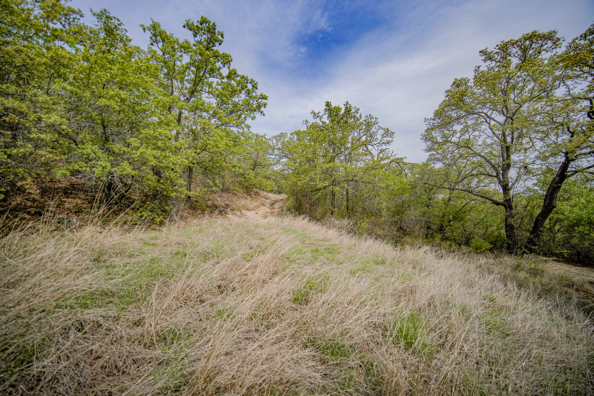 11 Acres Mountain Home Road Jacksboro TX 76458