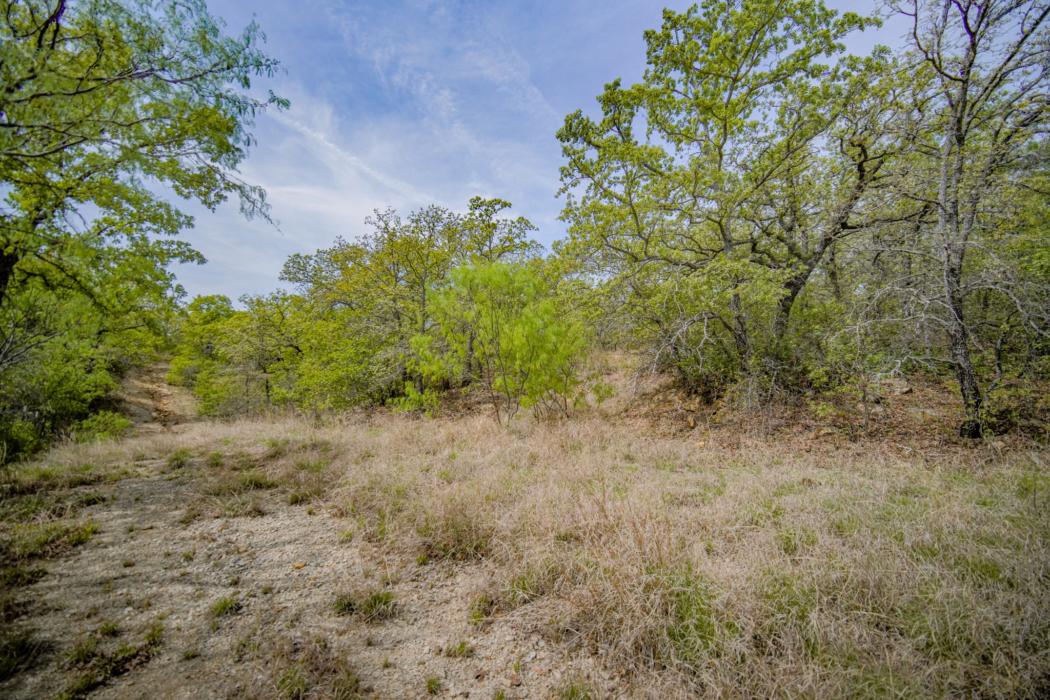 11 Acres Mountain Home Road Jacksboro TX 76458