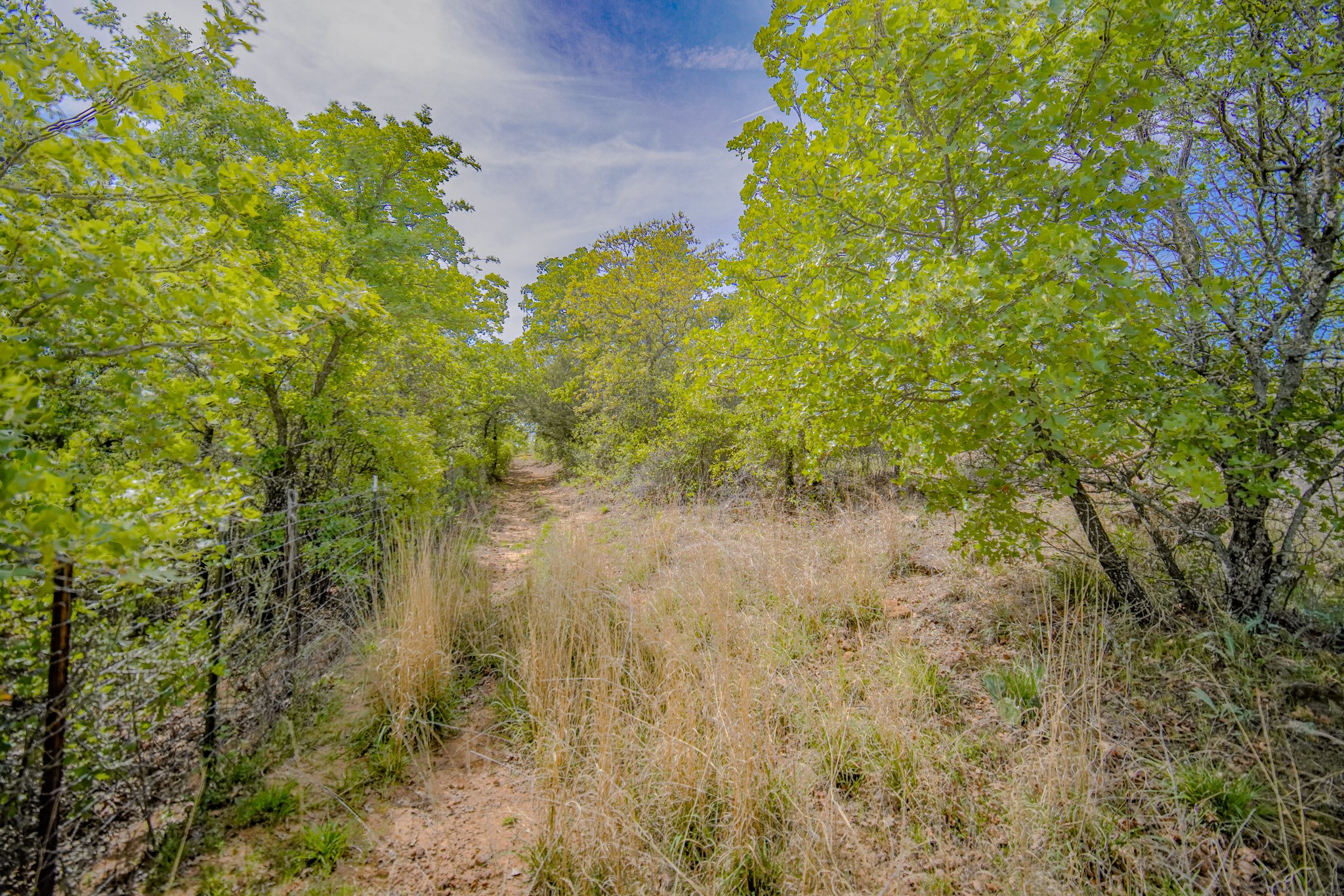 11 Acres Mountain Home Road Jacksboro TX 76458
