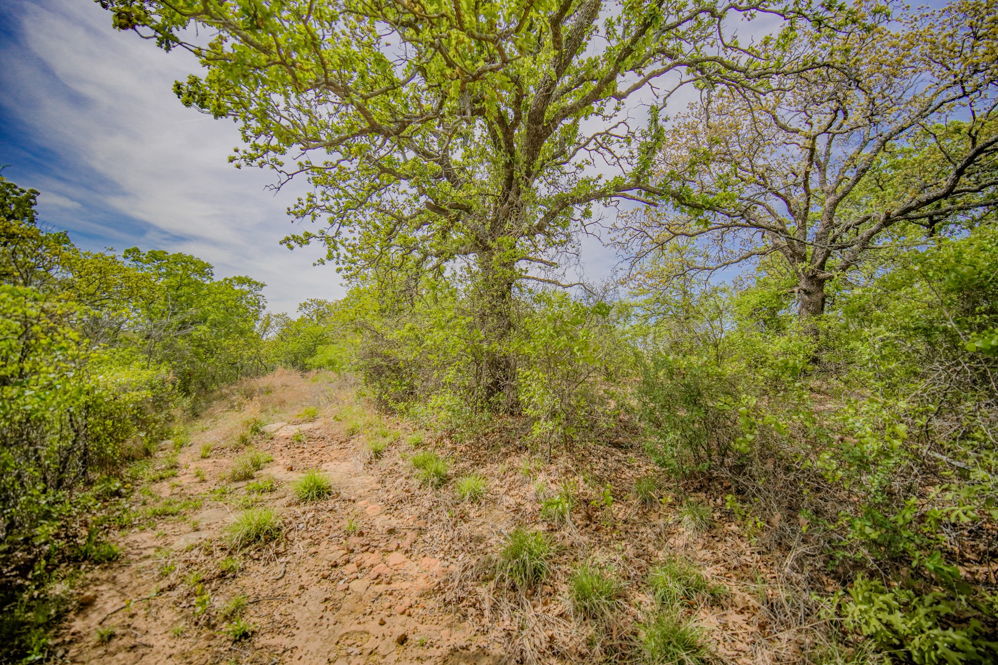 11 Acres Mountain Home Road Jacksboro TX 76458