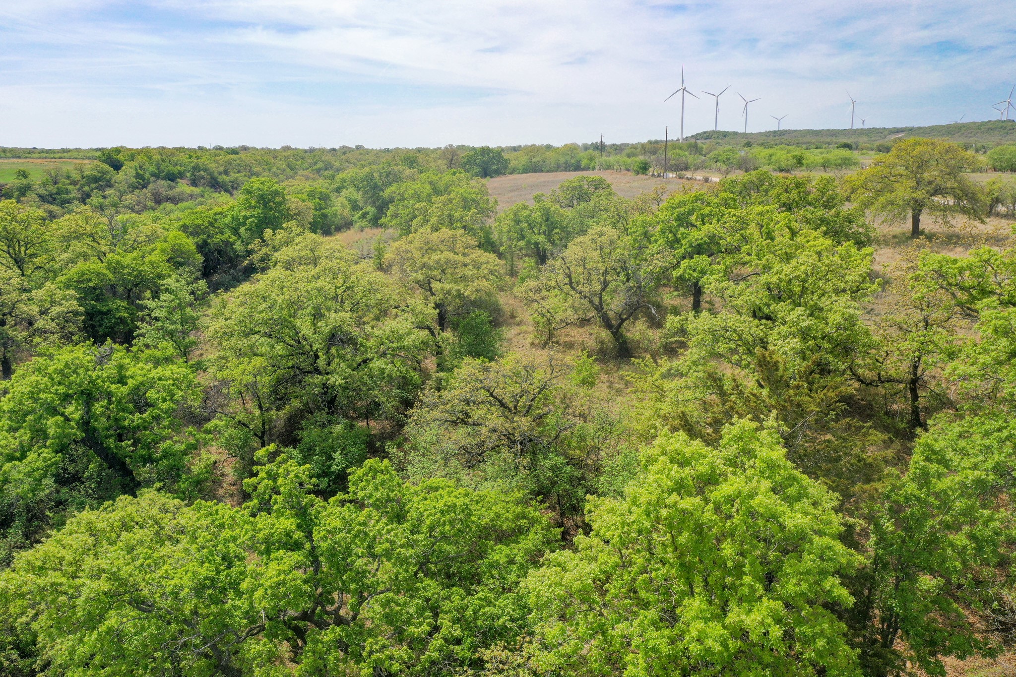 11 Acres Mountain Home Road Jacksboro TX 76458