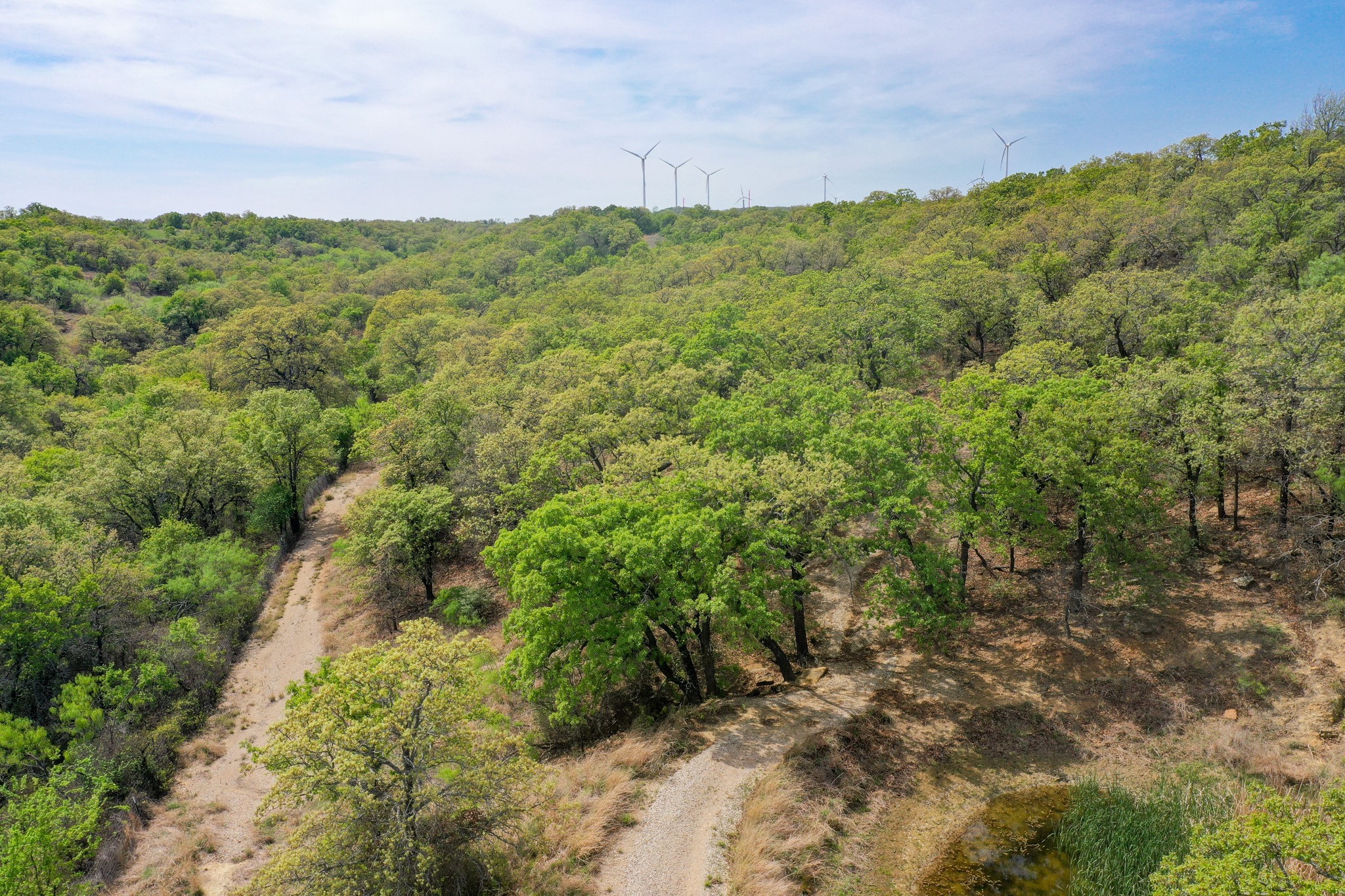 11 Acres Mountain Home Road Jacksboro TX 76458
