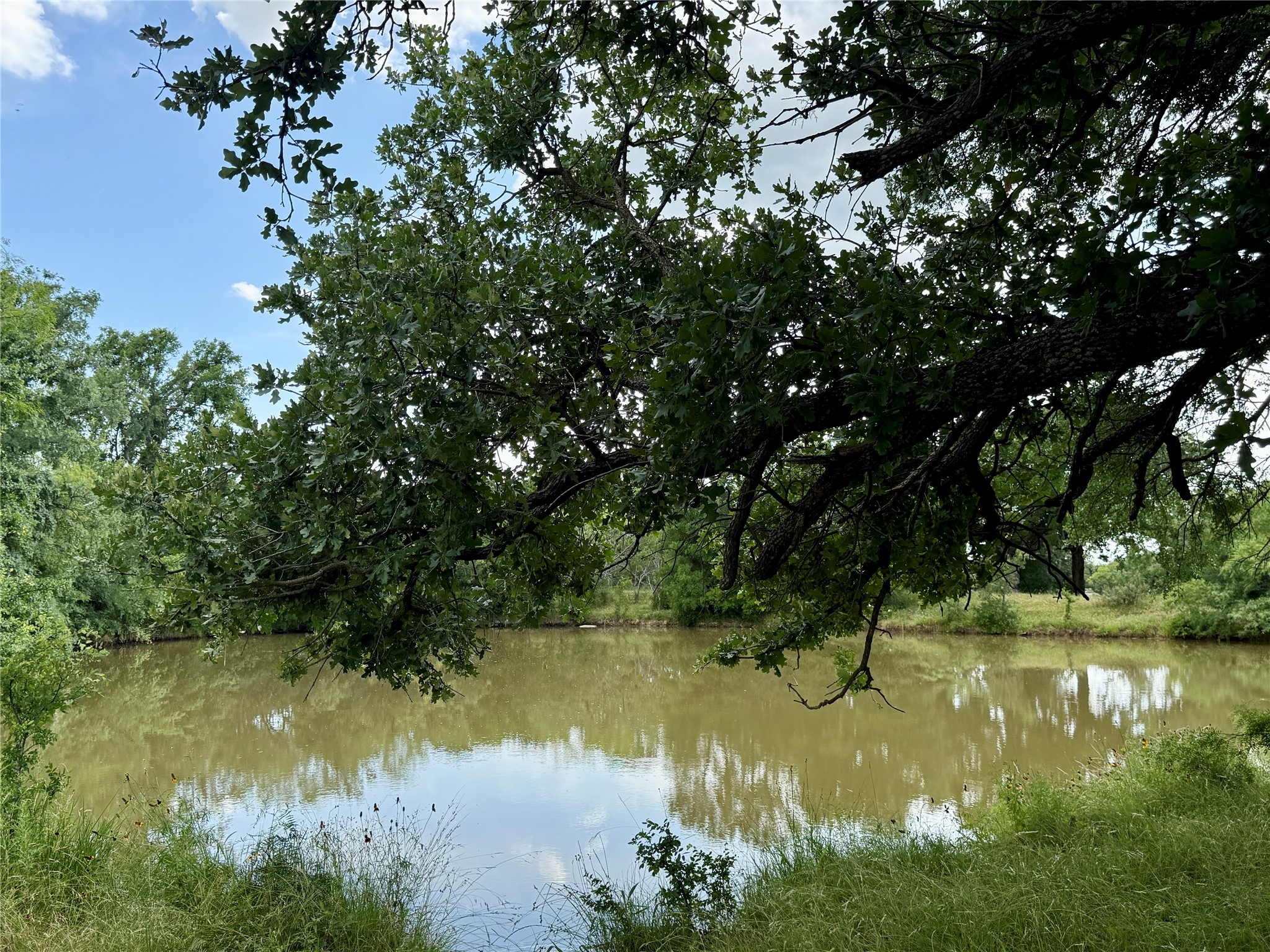2840 County Road 404 Early TX 76802