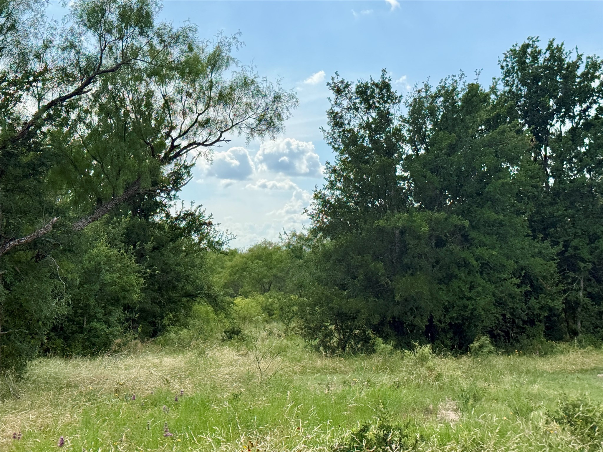 2840 County Road 404 Early TX 76802