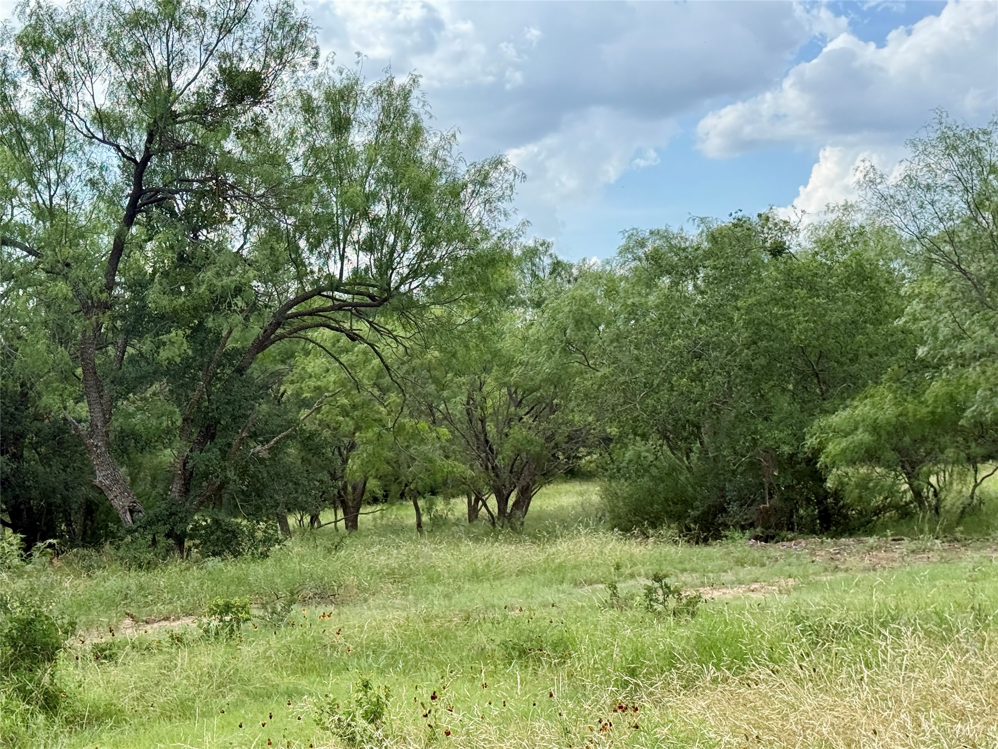 2840 County Road 404 Early TX 76802