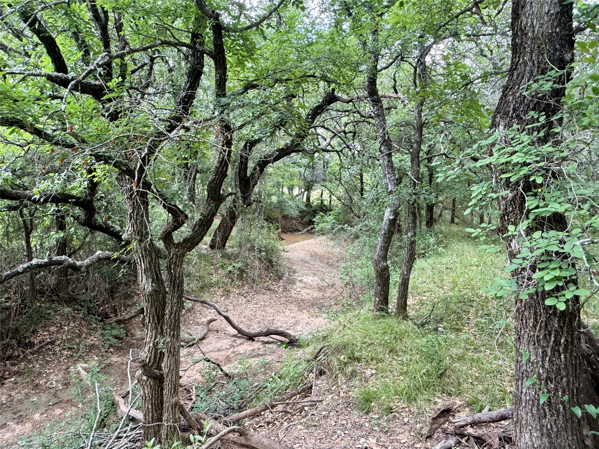 2840 County Road 404 Early TX 76802