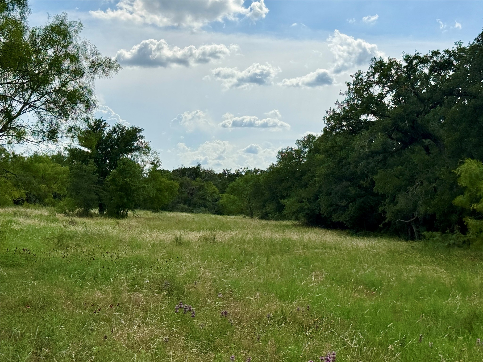 2840 County Road 404 Early TX 76802