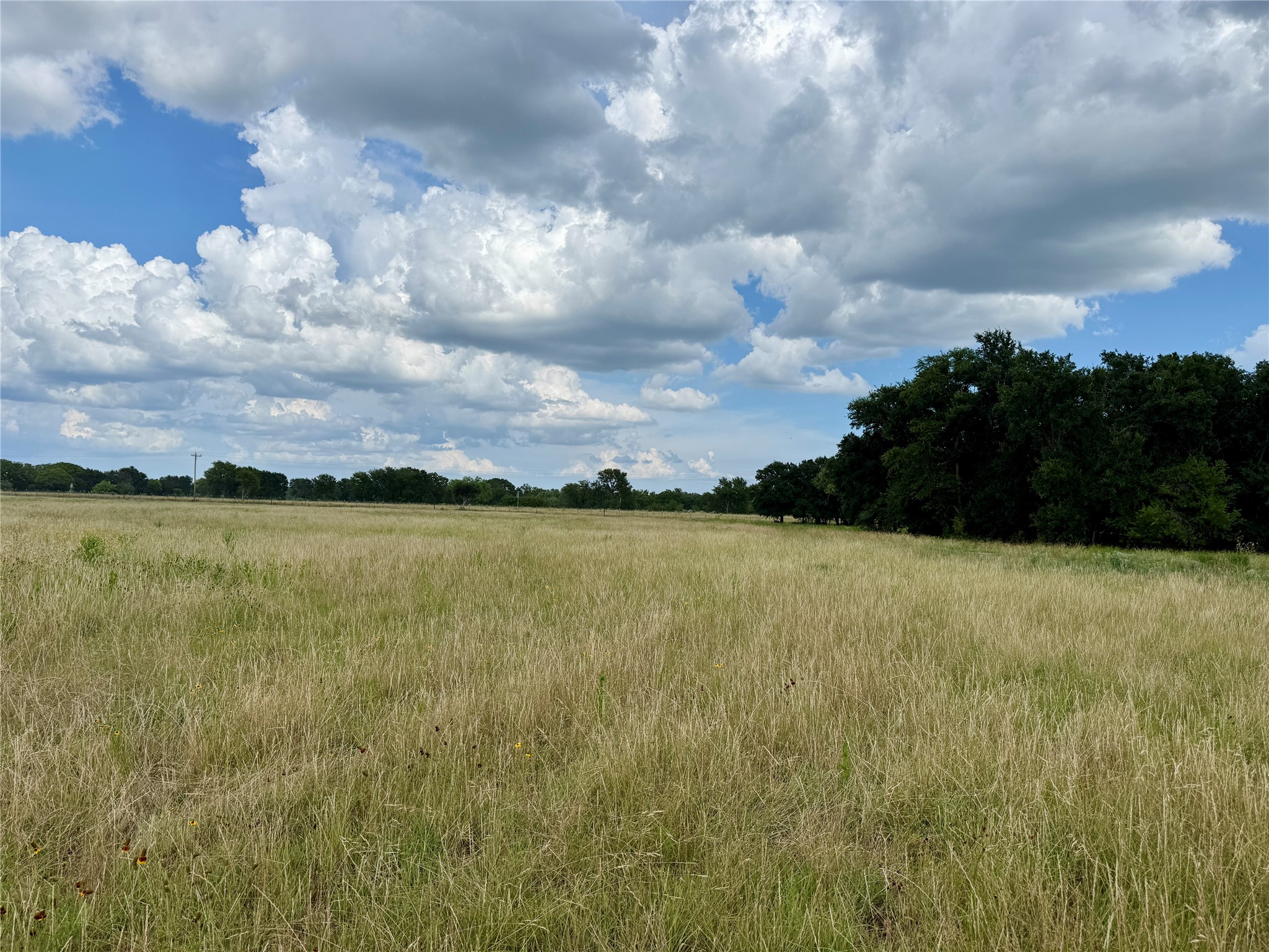 2840 County Road 404 Early TX 76802
